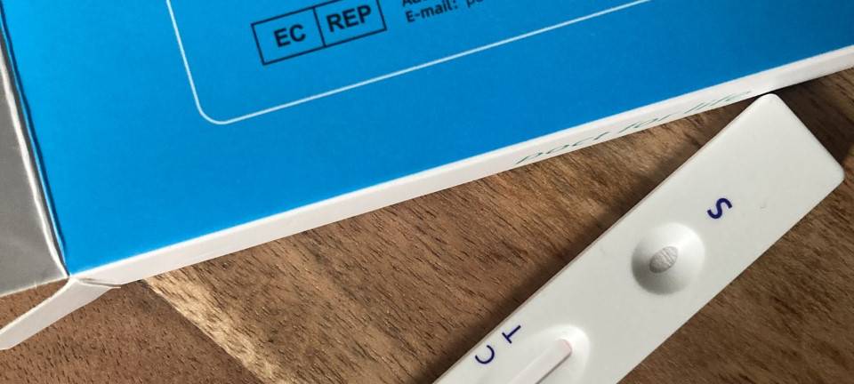 Testpflicht: Lindh widerspricht Unternehmern