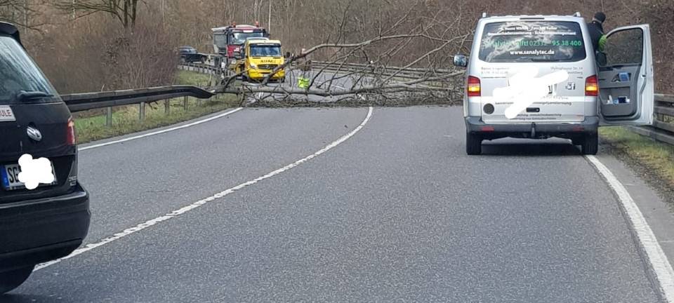 Sturmschäden umgehend melden