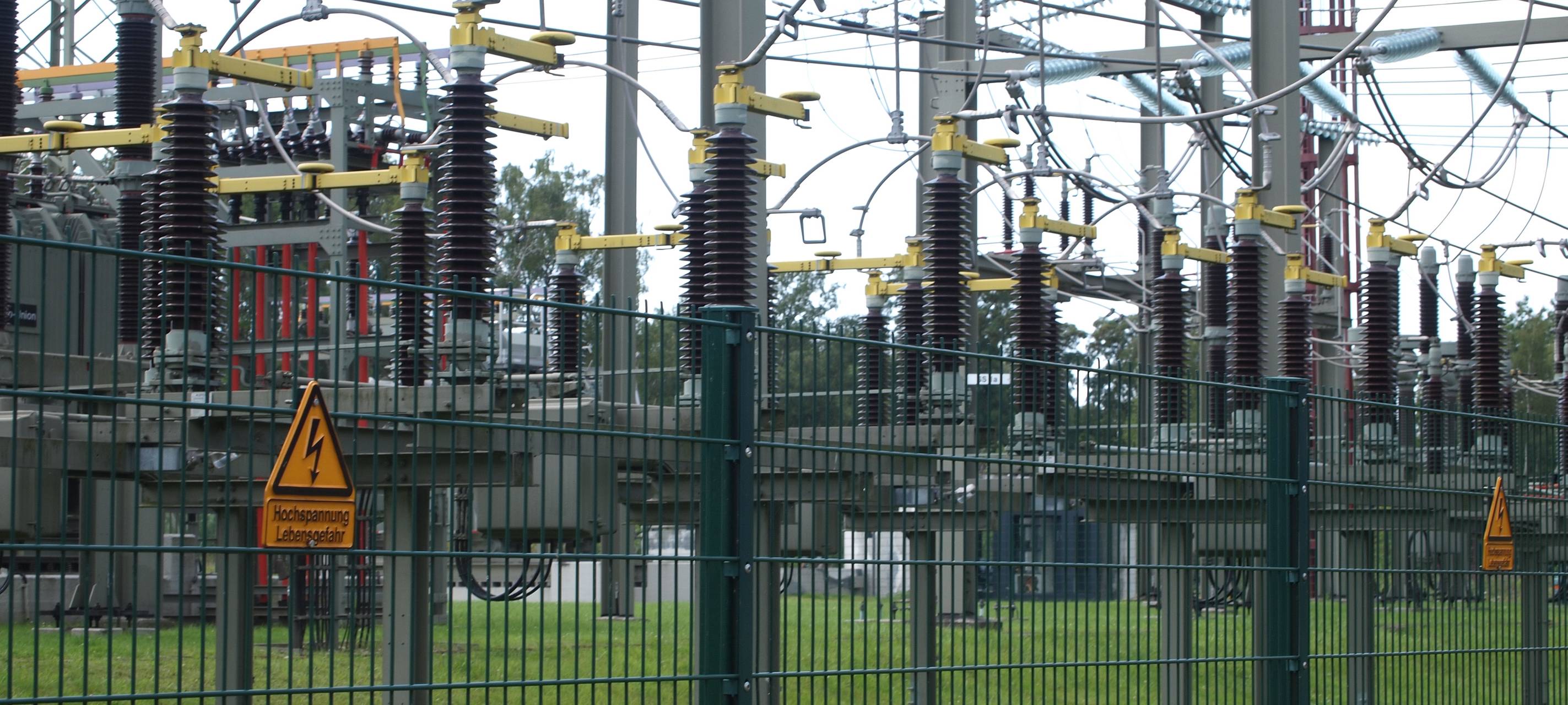 WSW überprüfen Marderschutz