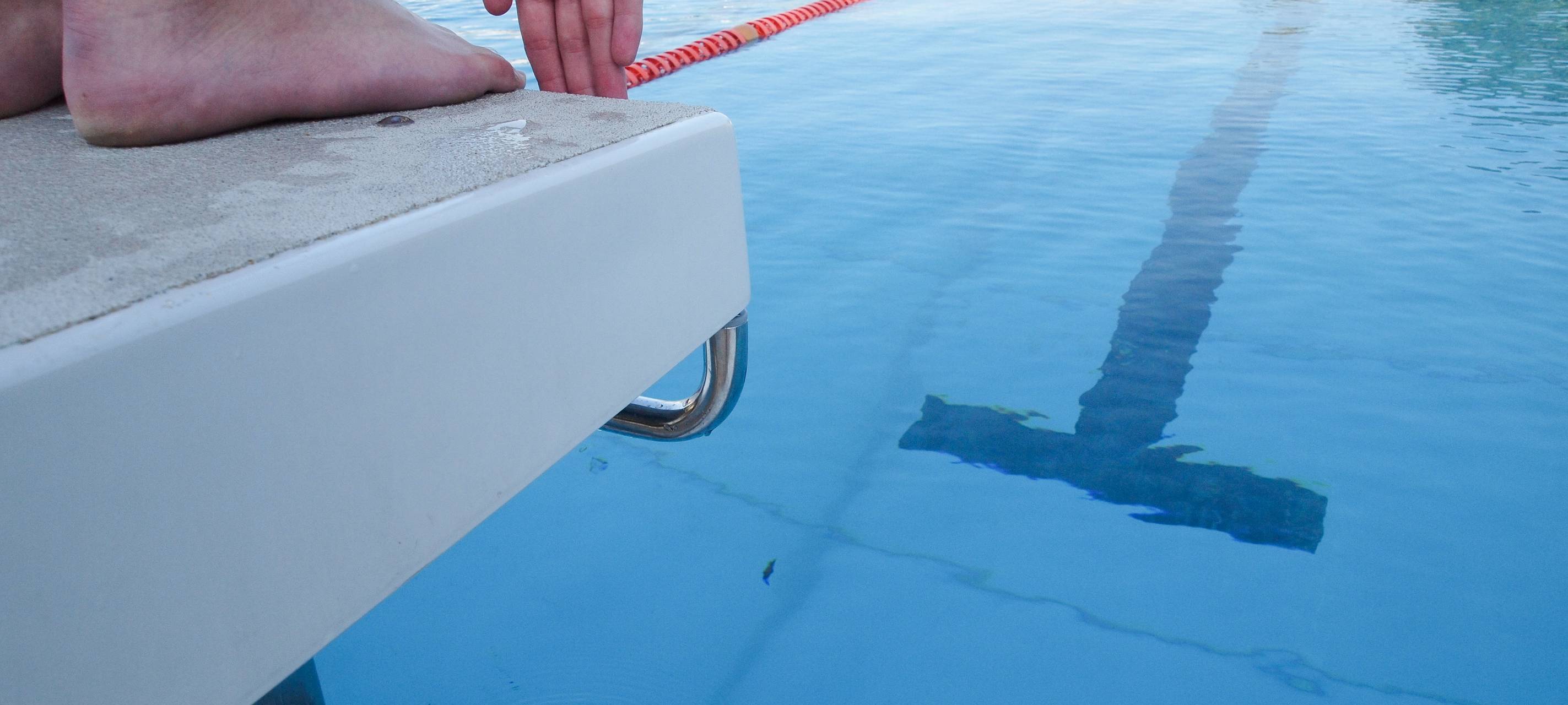 FDP empfiehlt virtuelle Bademeister