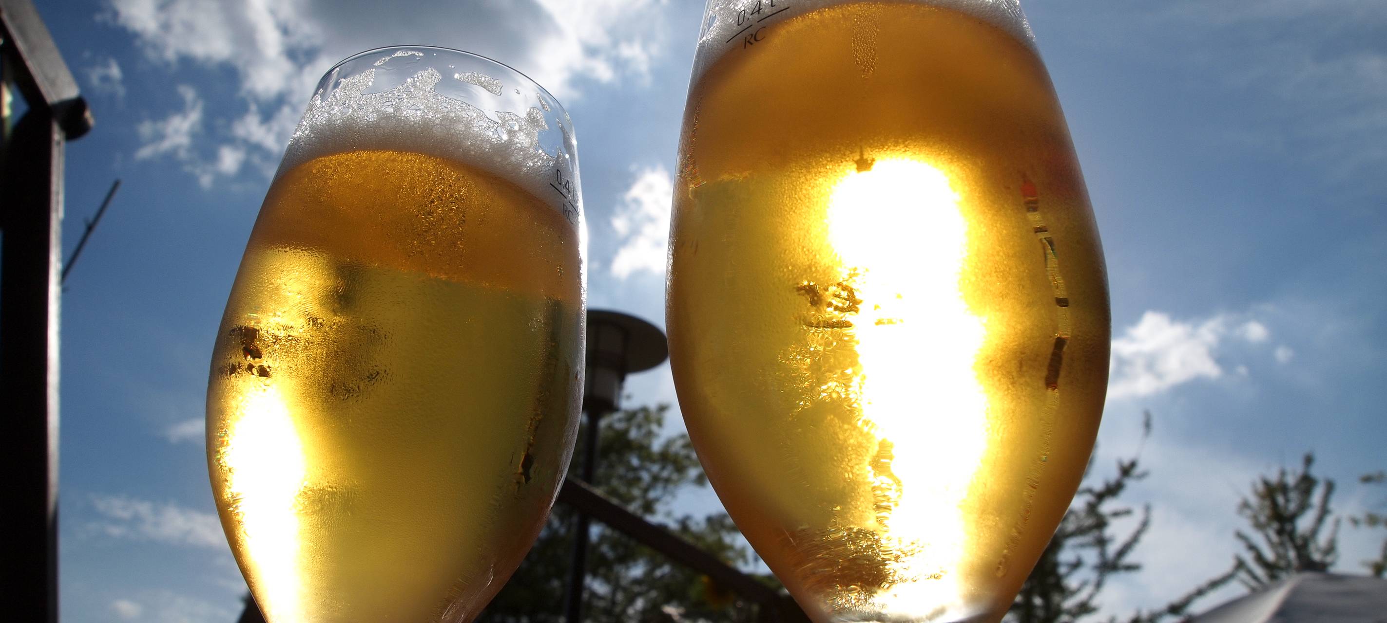 Beer & Music Festival