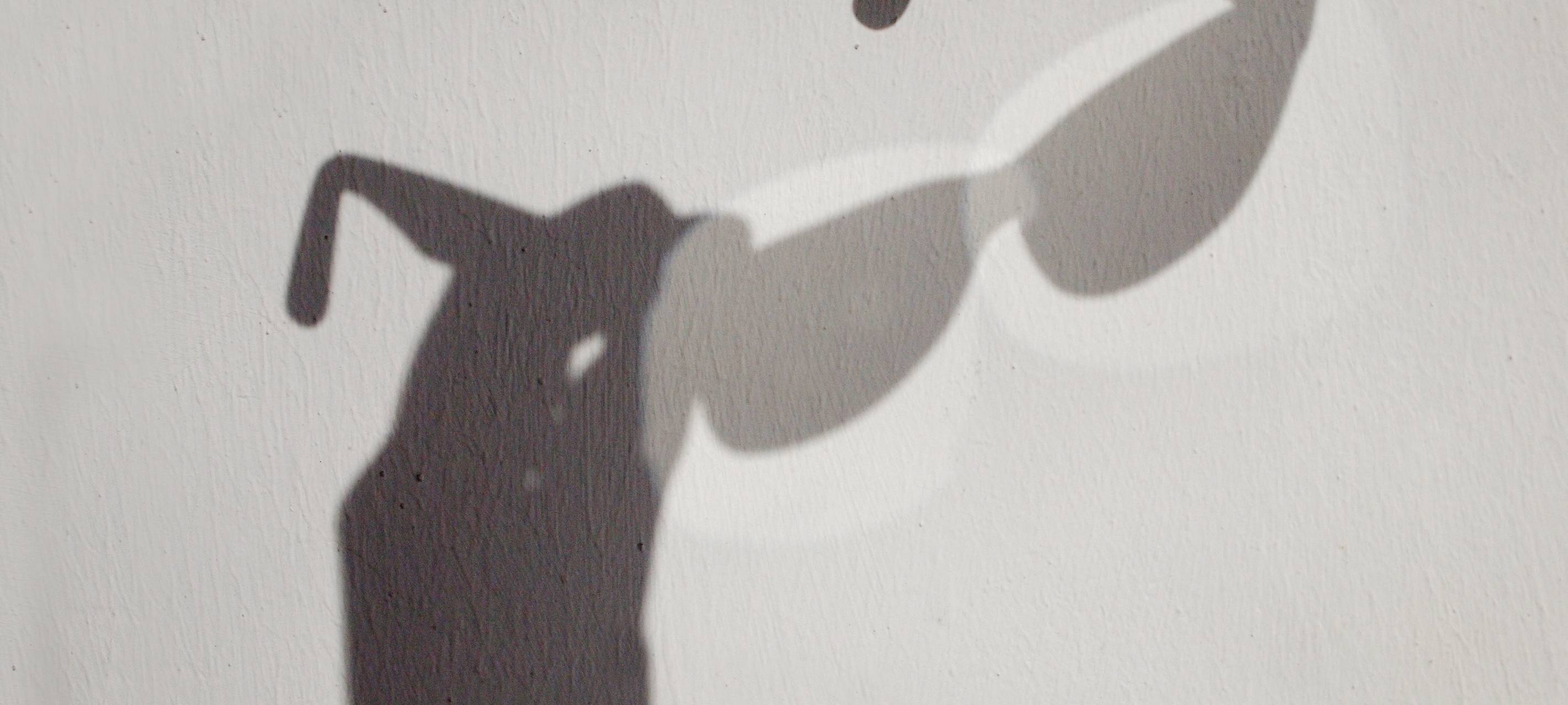 Sammelaktion für Brillen gestartet