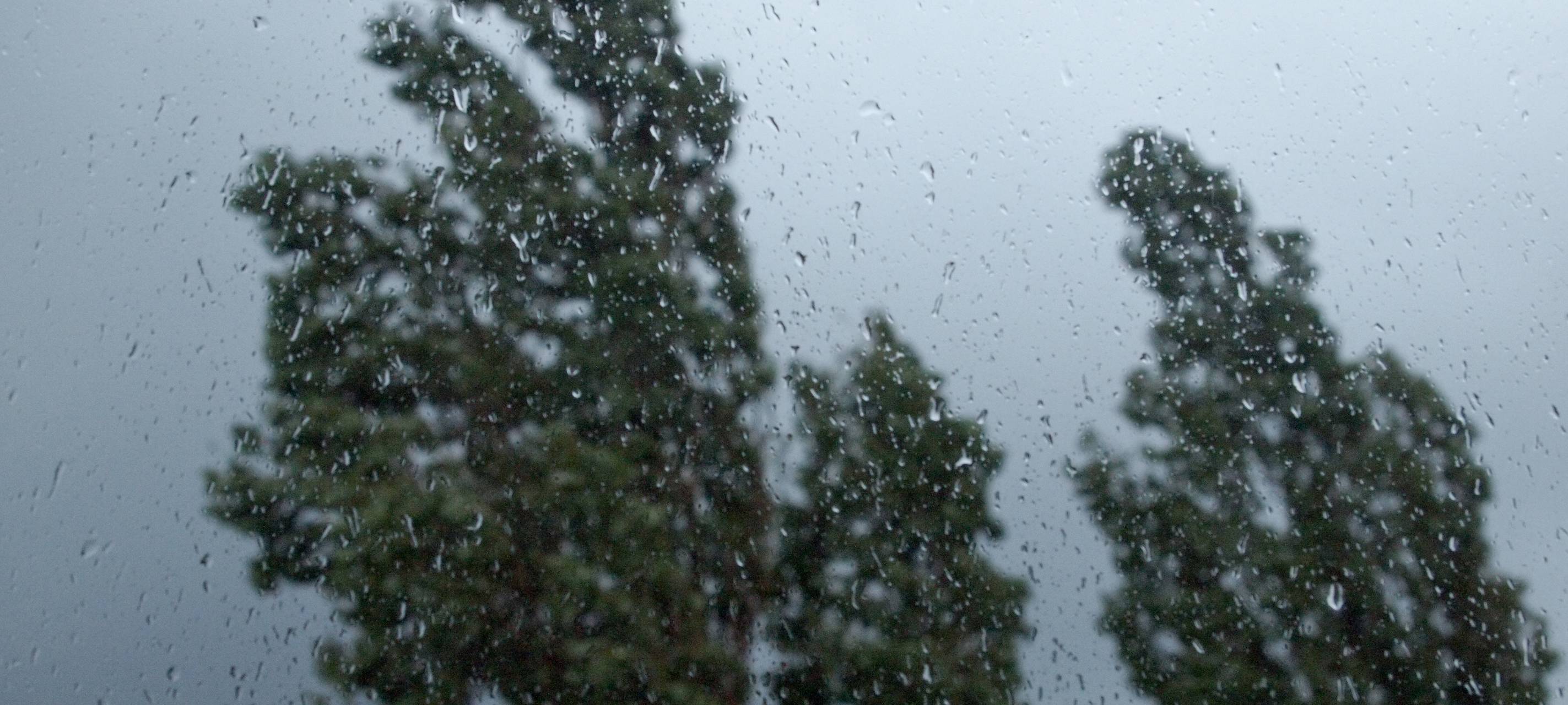 Viele Sturmeinsätze in Wuppertal