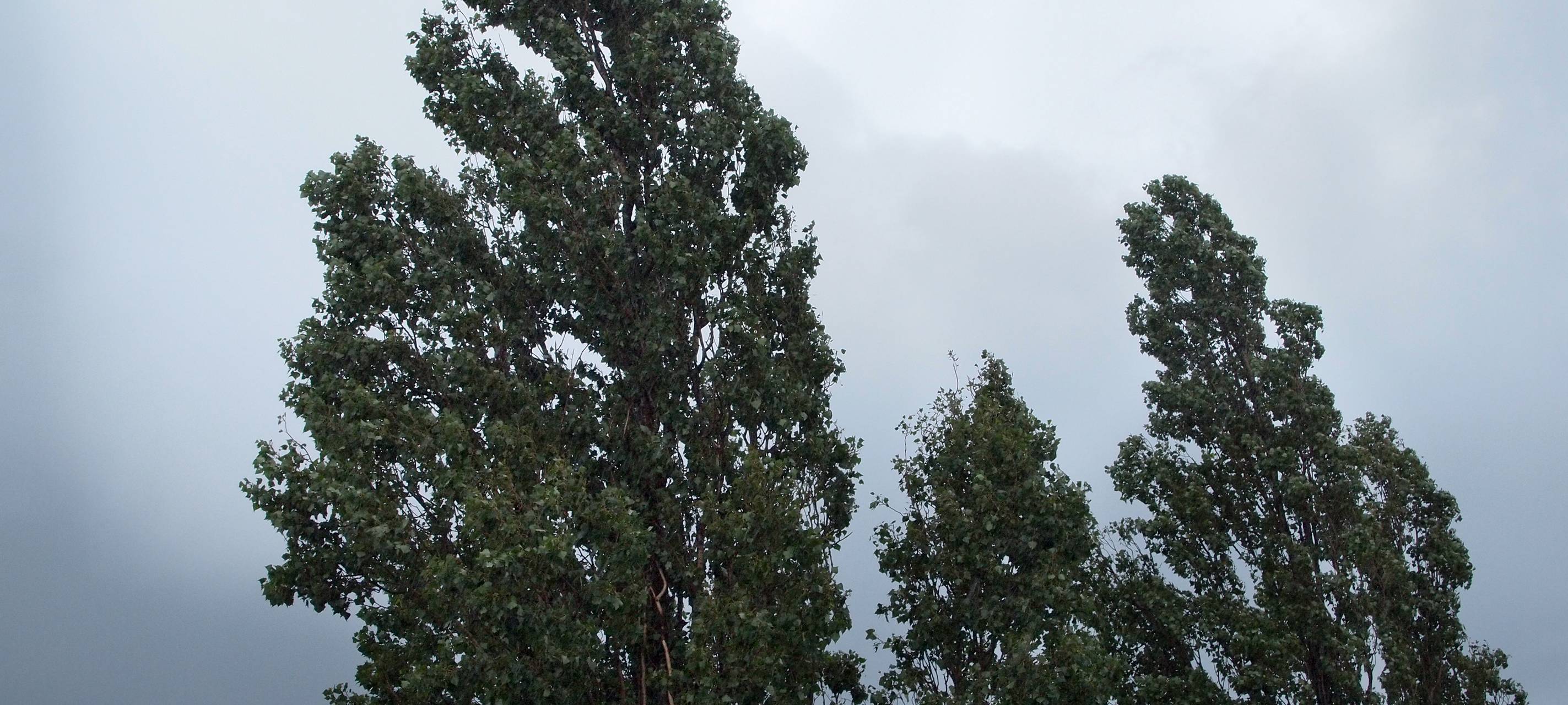 Wenig Regen, aber oft