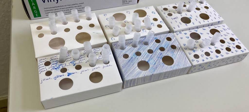 Unternehmer wegen Test-Betrug verurteilt