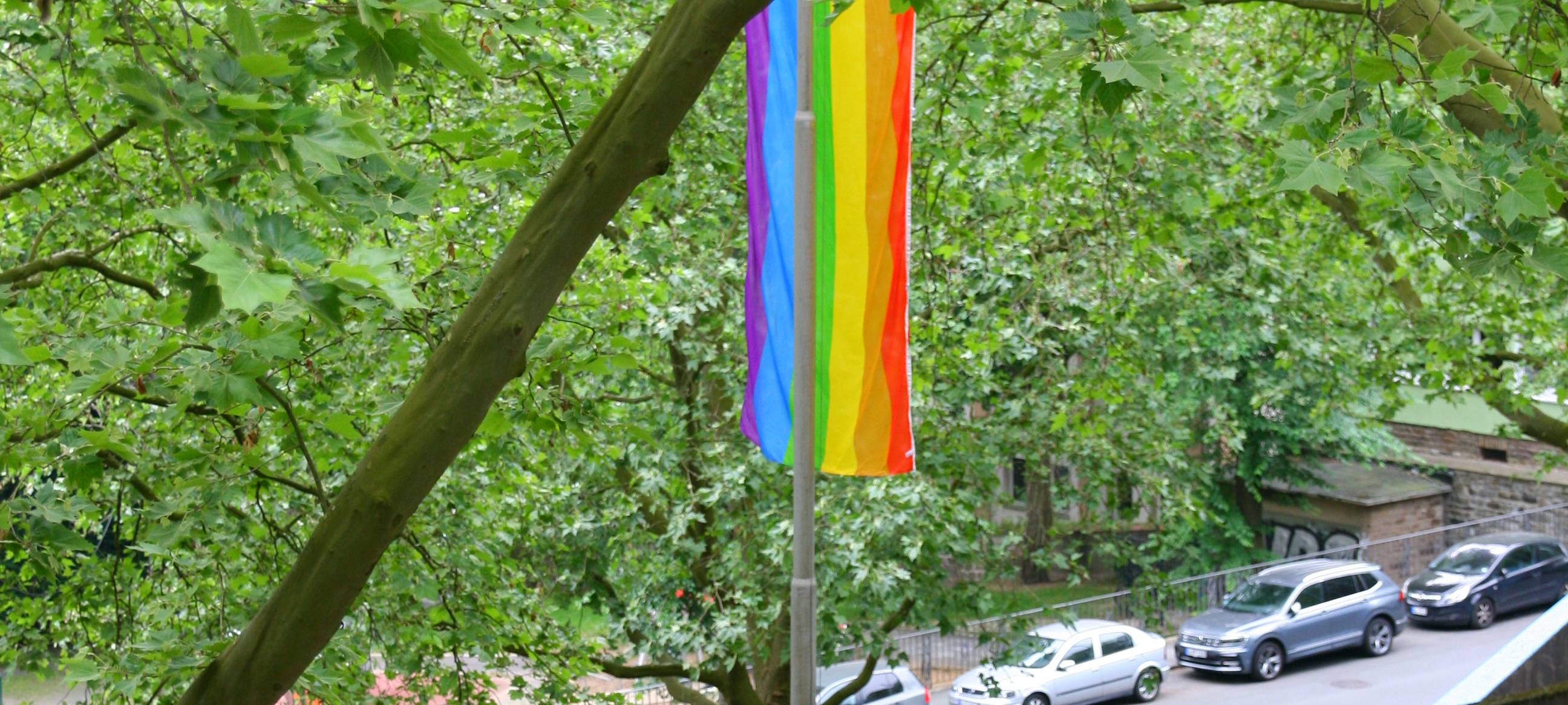 Pride Month: Regenbogenfahne an Gesamtschule "Else"
