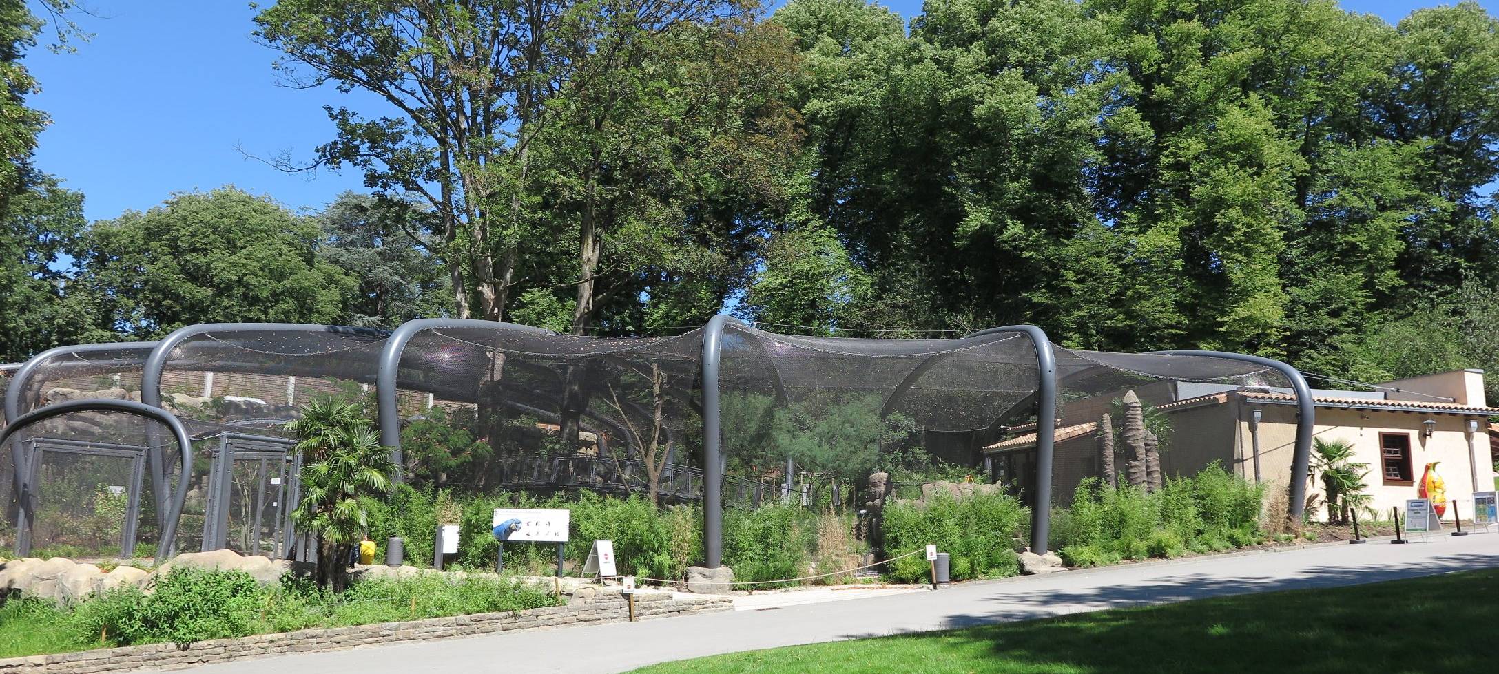 Neues Küken bei den Flamingos