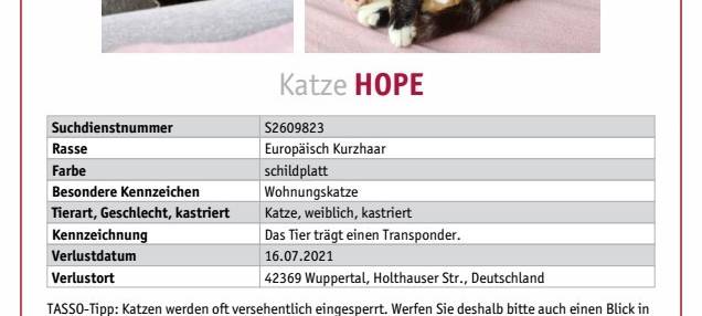 Hauskatze Hope vermisst