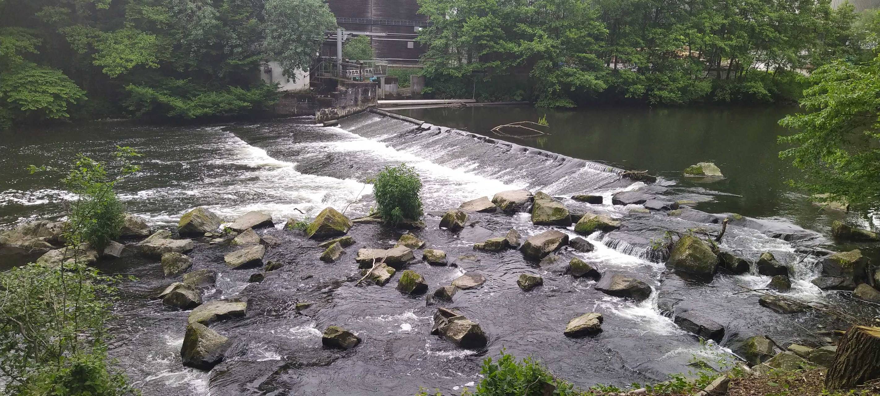 Neuer Fischaufstieg in Beyenburg