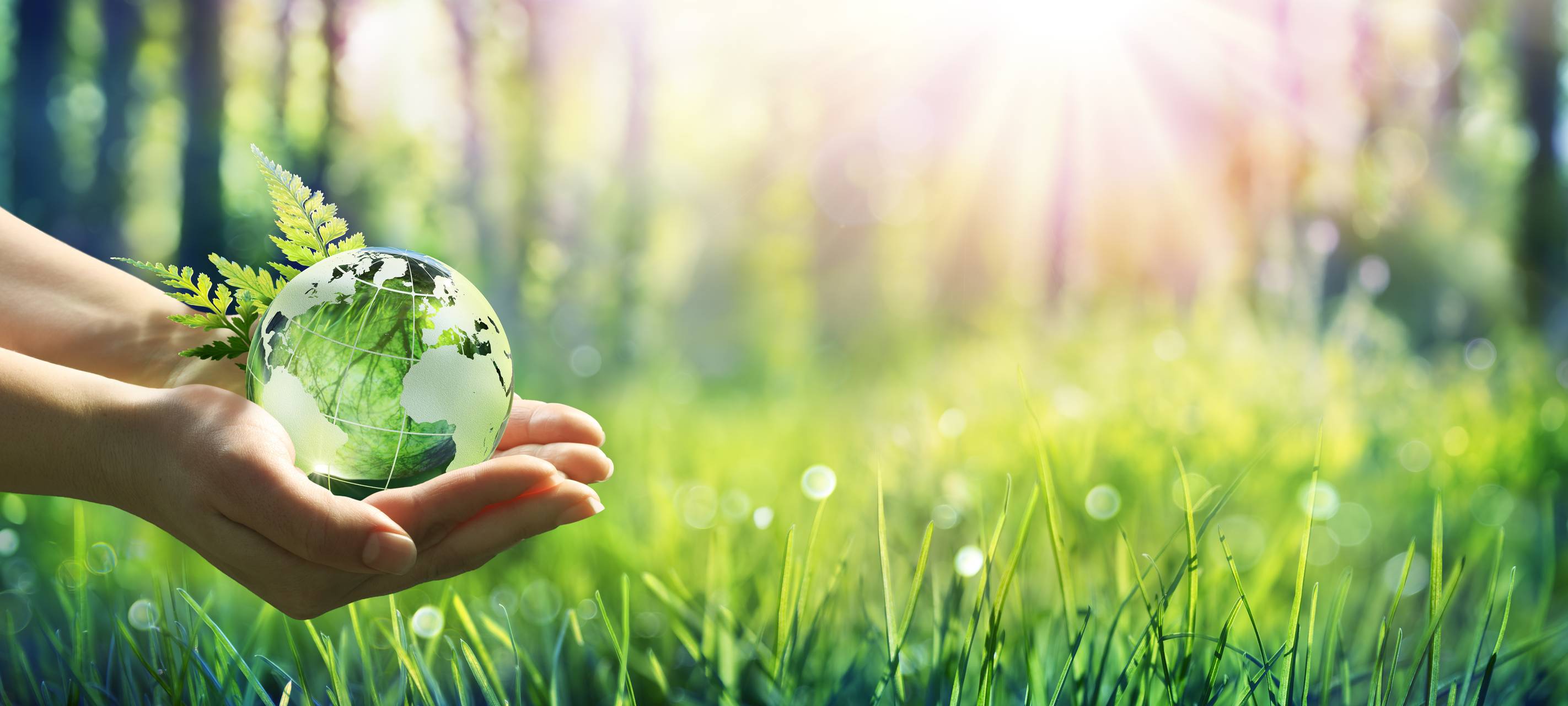 Kalkwerke Oetelshofen sind „amphibienfreundlich“