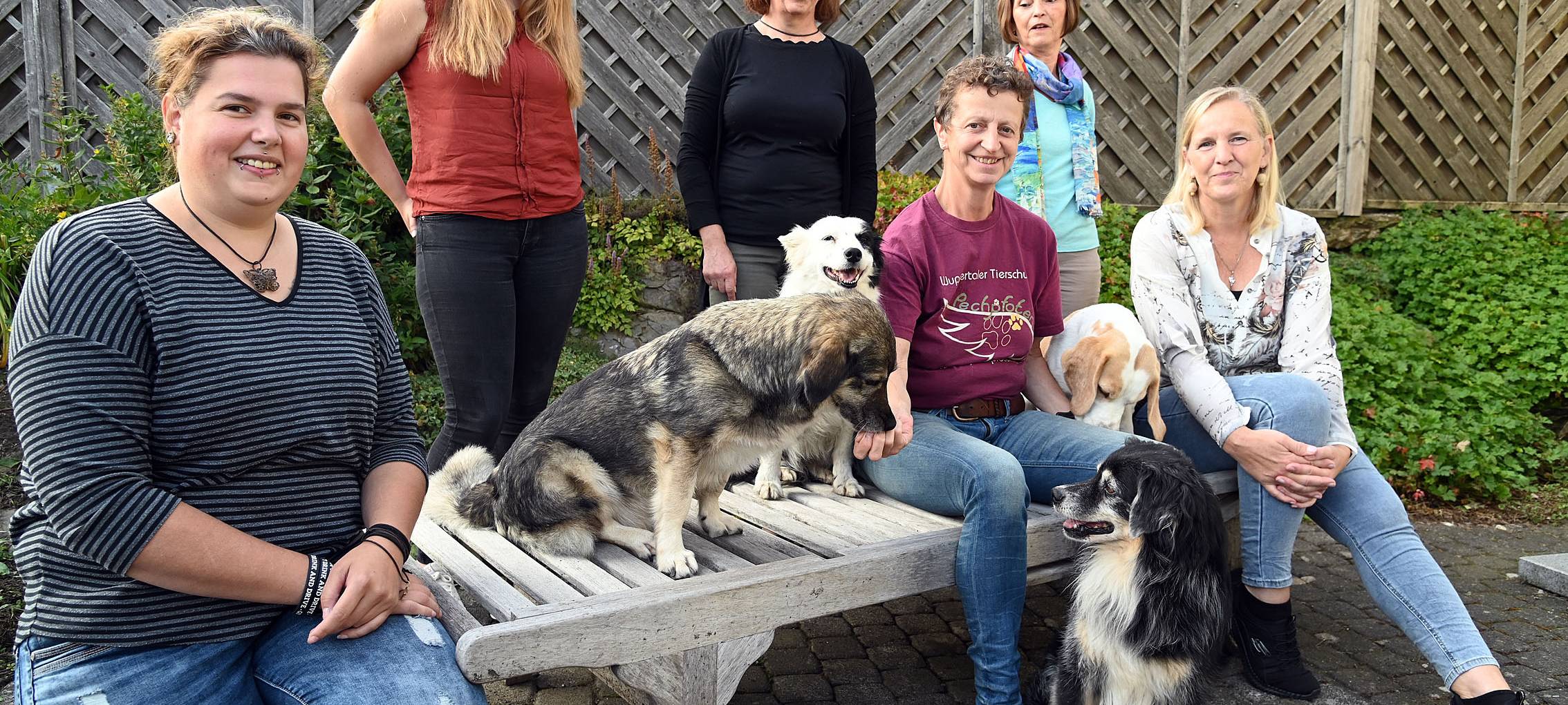 Pechpfoten brauchen weiter Unterstützung