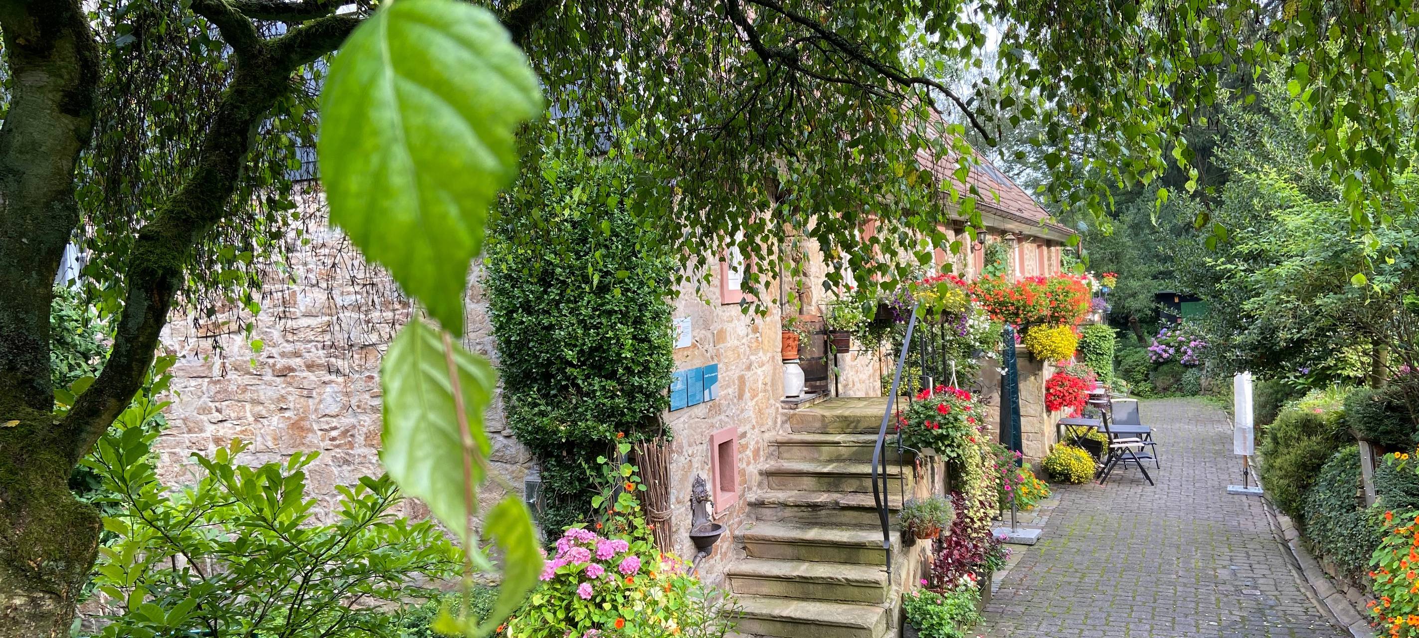 Thomas Sauer gewinnt beim 7. Wuppertaler Fotopreis