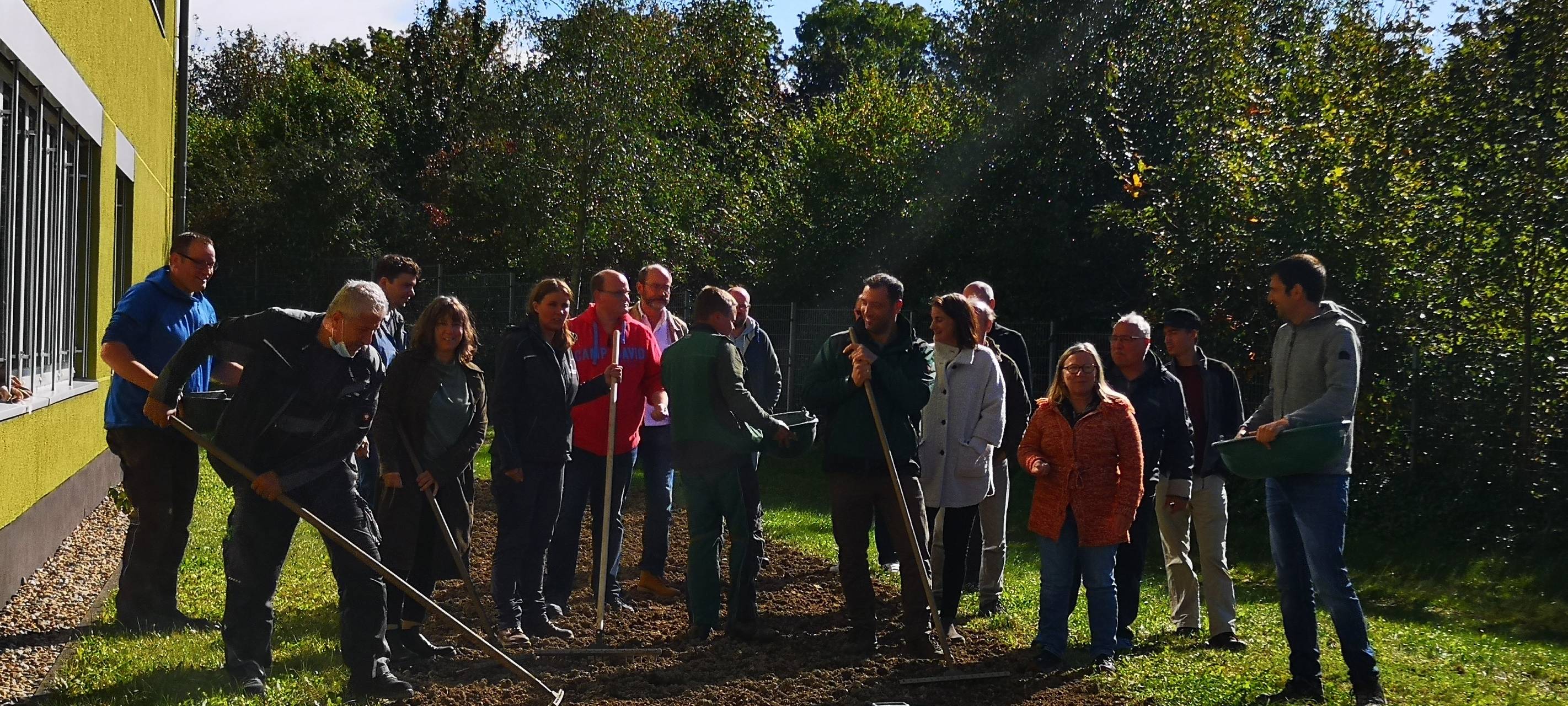 Mehr insektenfreundliche Wiesen
