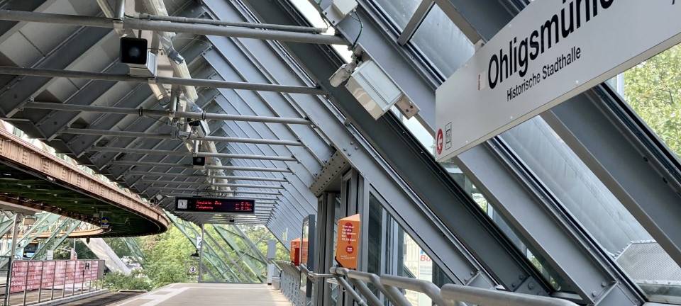 Kritik wegen getöteter Spinnen in Schwebebahn-Stationen