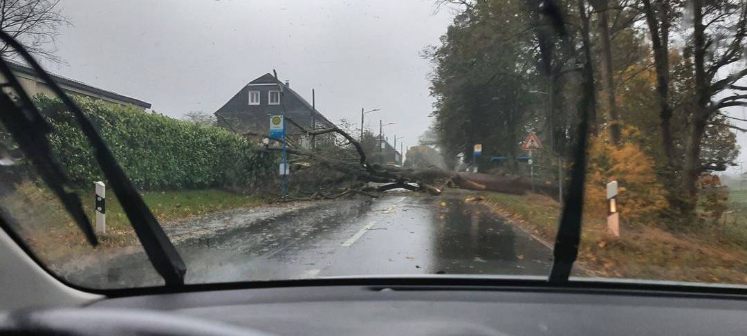Baum Umgefallen L411 Straßenblockade Bushaltestelle