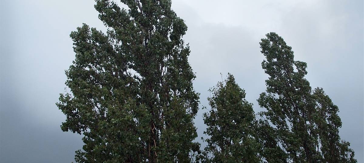 UPDATE: Sturmlage beruhigt sich