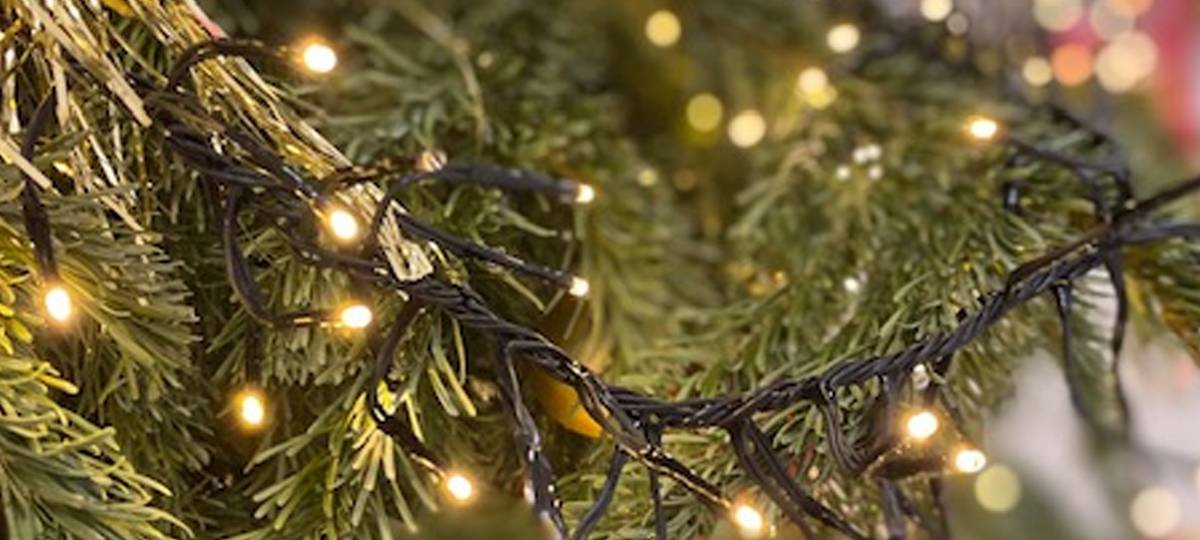 Ein Wunschbaum für Senioren