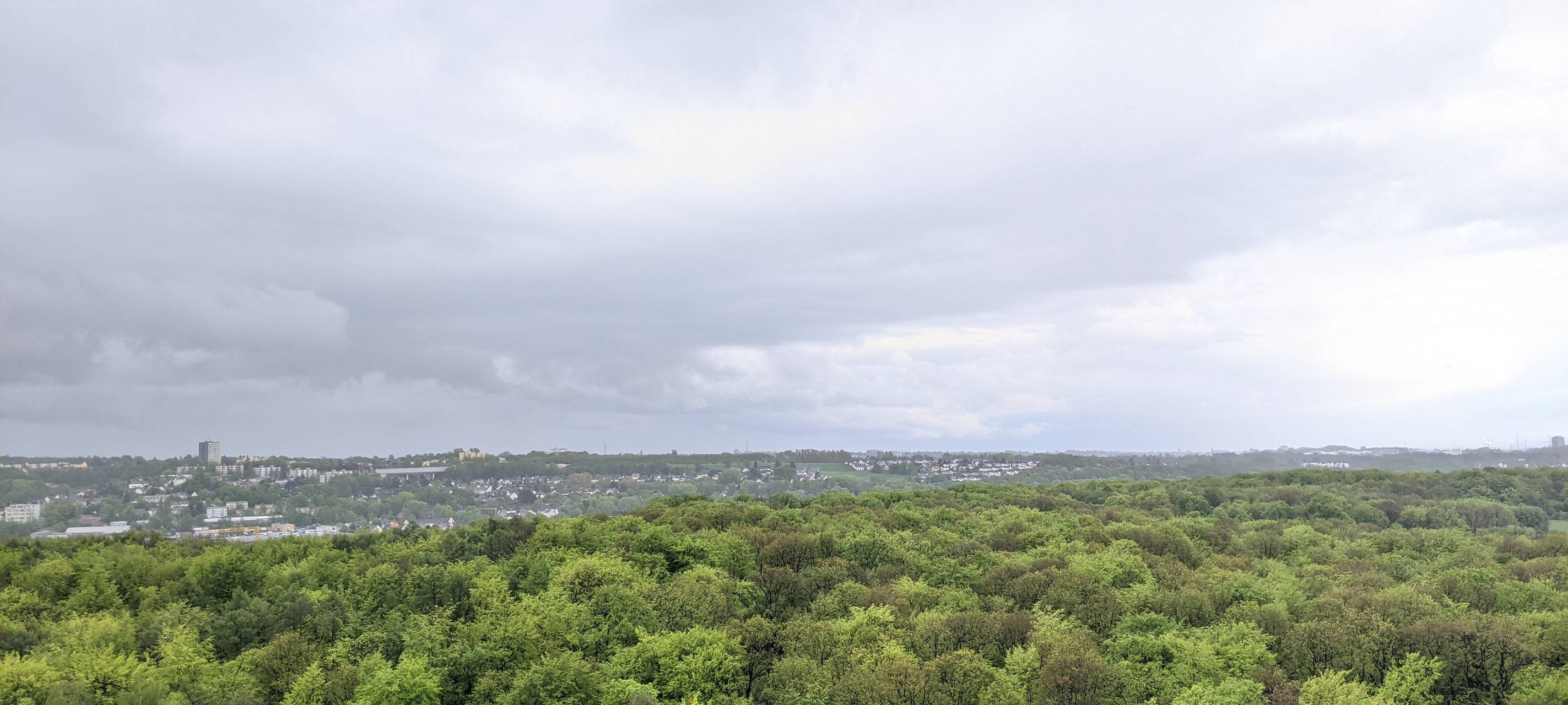 Osterholz: FDP attackiert Schneidewind
