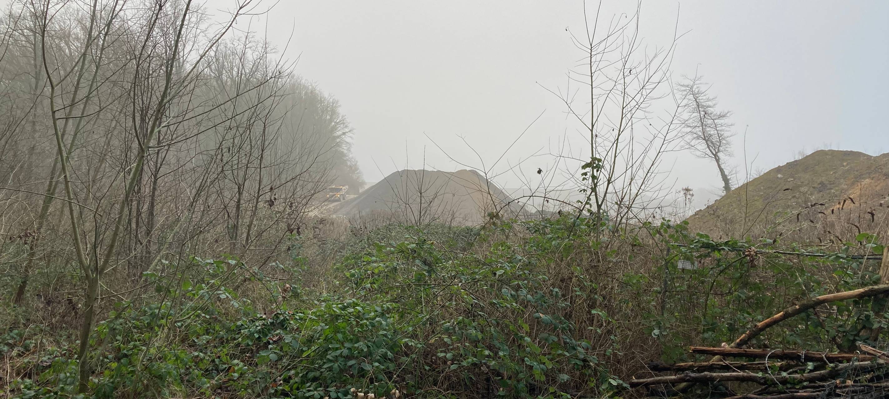 Scientists4Future zum Osterholz