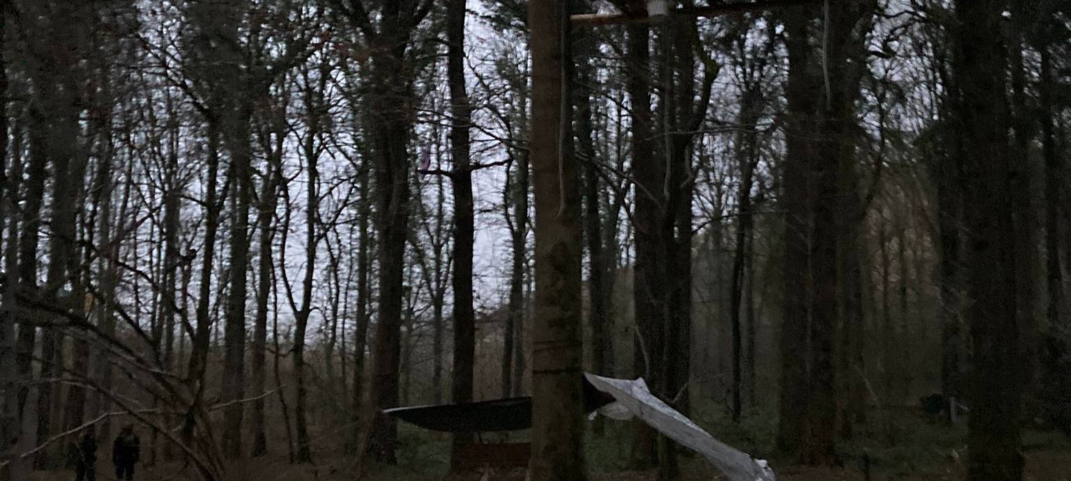 Große Demo gegen Osterholz-Rodung