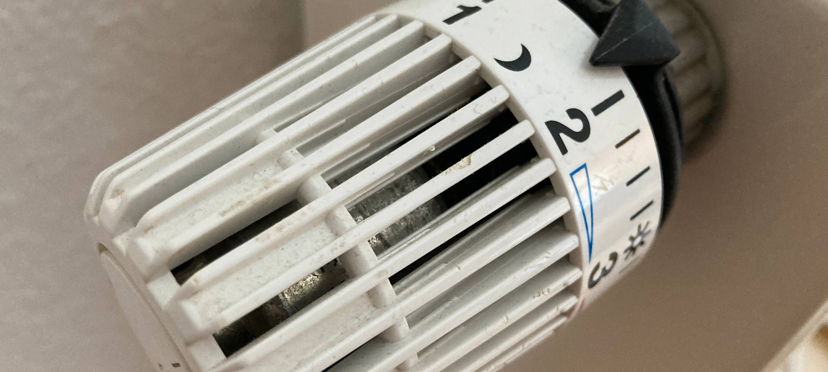 Grüne sind gegen Einbau von Gasheizungen