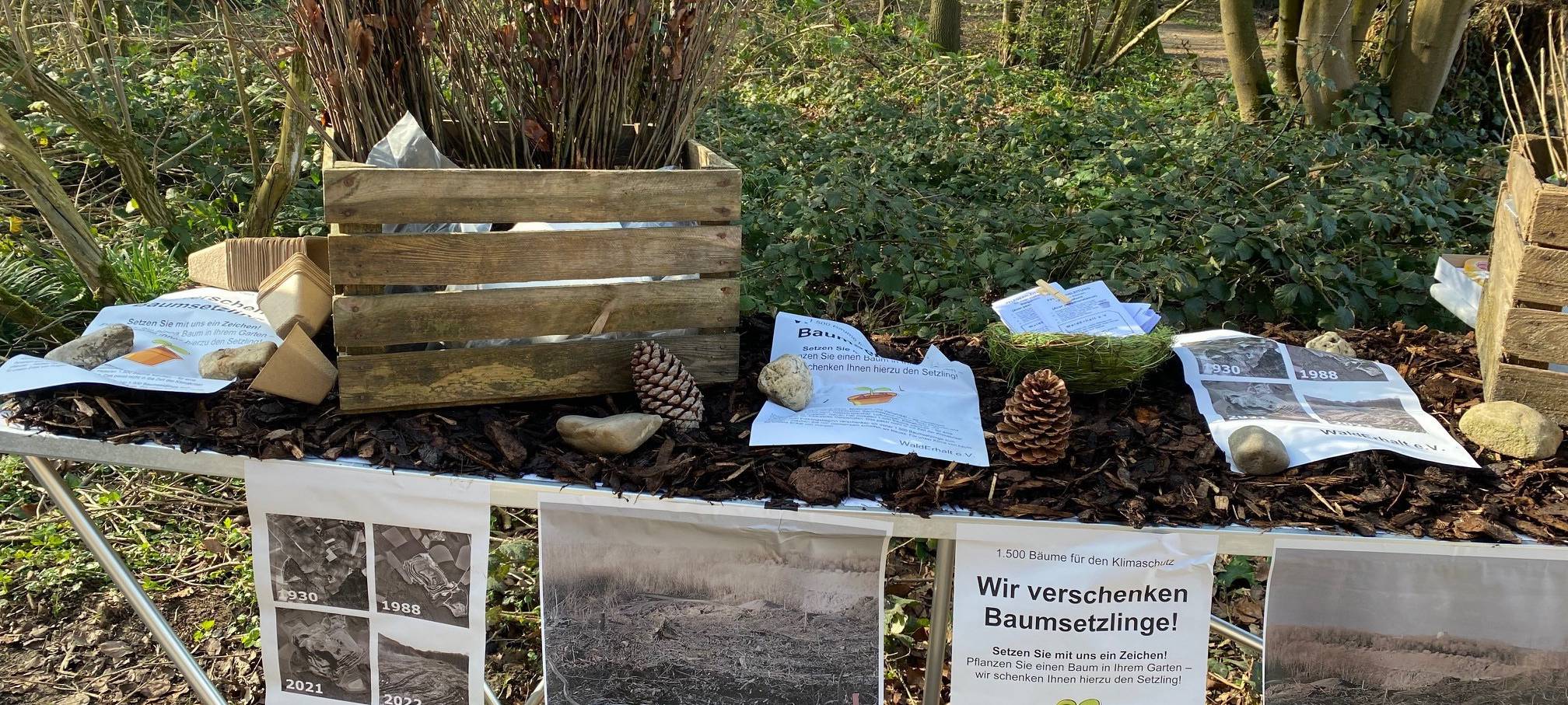 WaldErhalt verschenkt Setzlinge