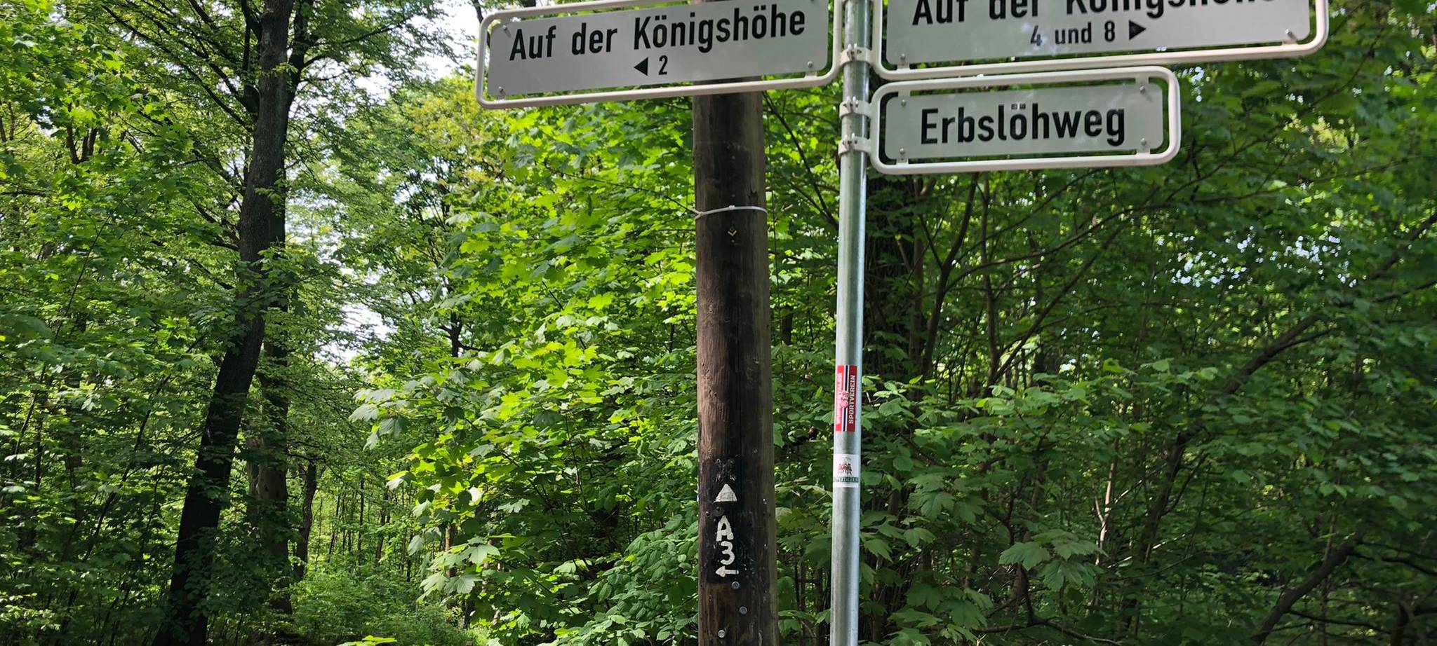 Wuppertal ist grünste Großstadt Europas