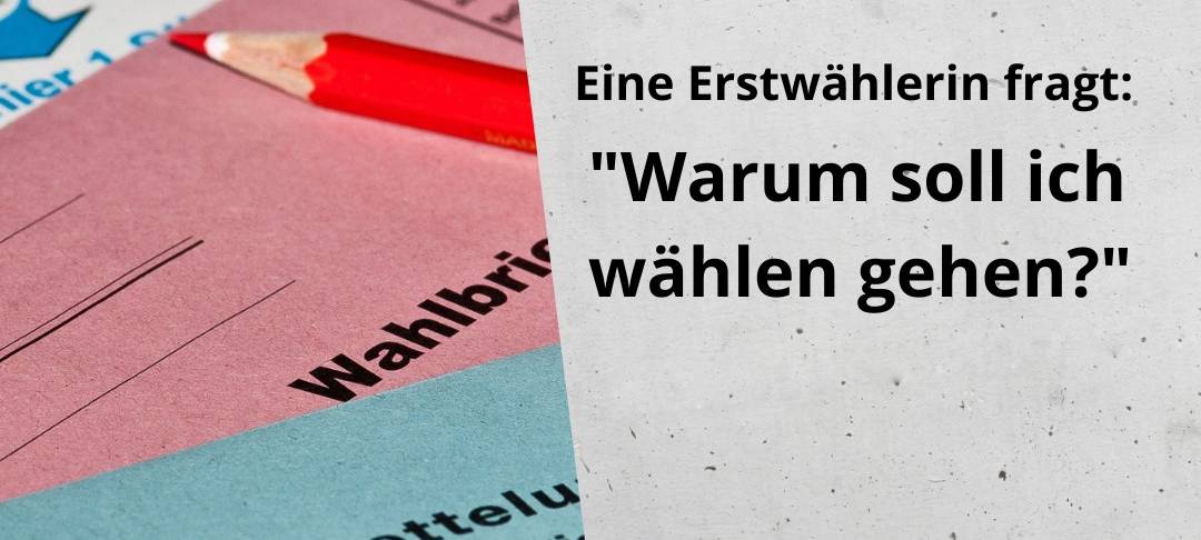 Warum sollte ich wählen gehen?