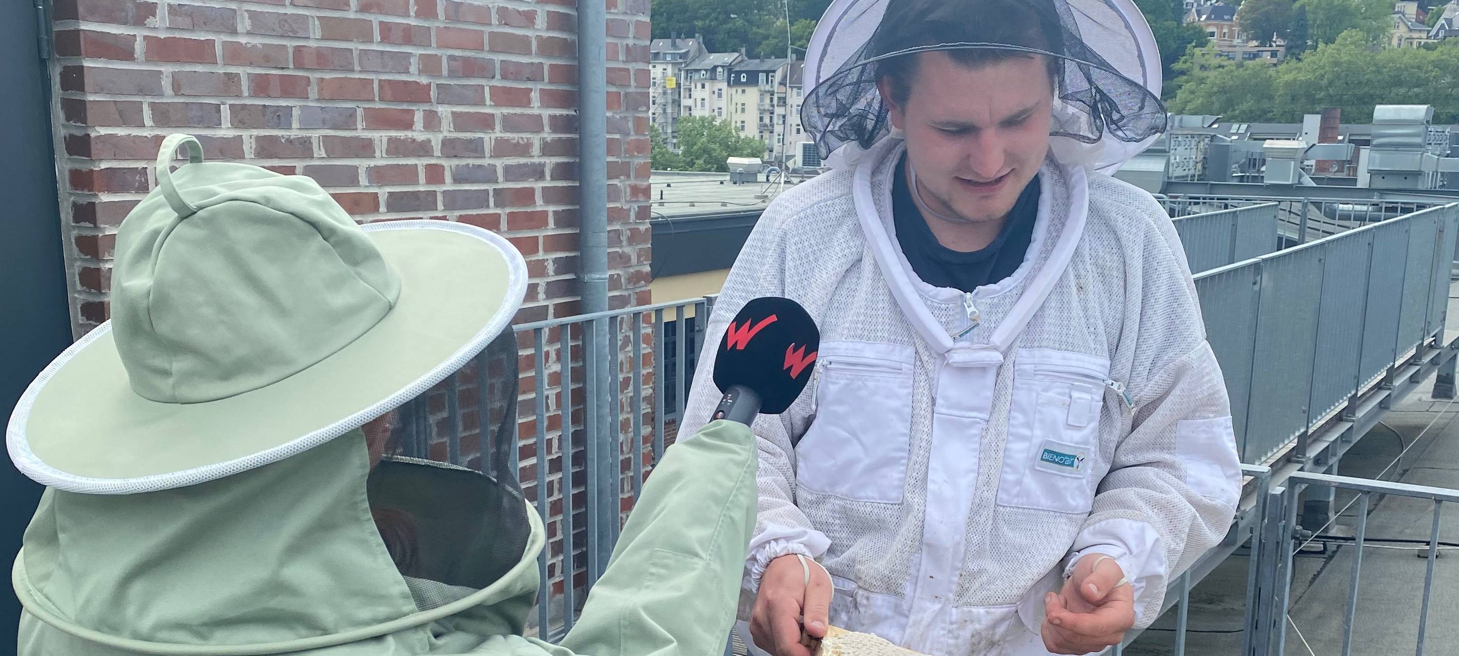 Die Bienen auf der Dachterrasse
