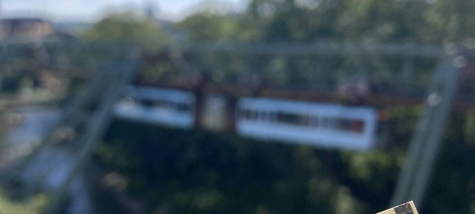 Neun-Euro-Ticket: WSW wollen es genau wissen