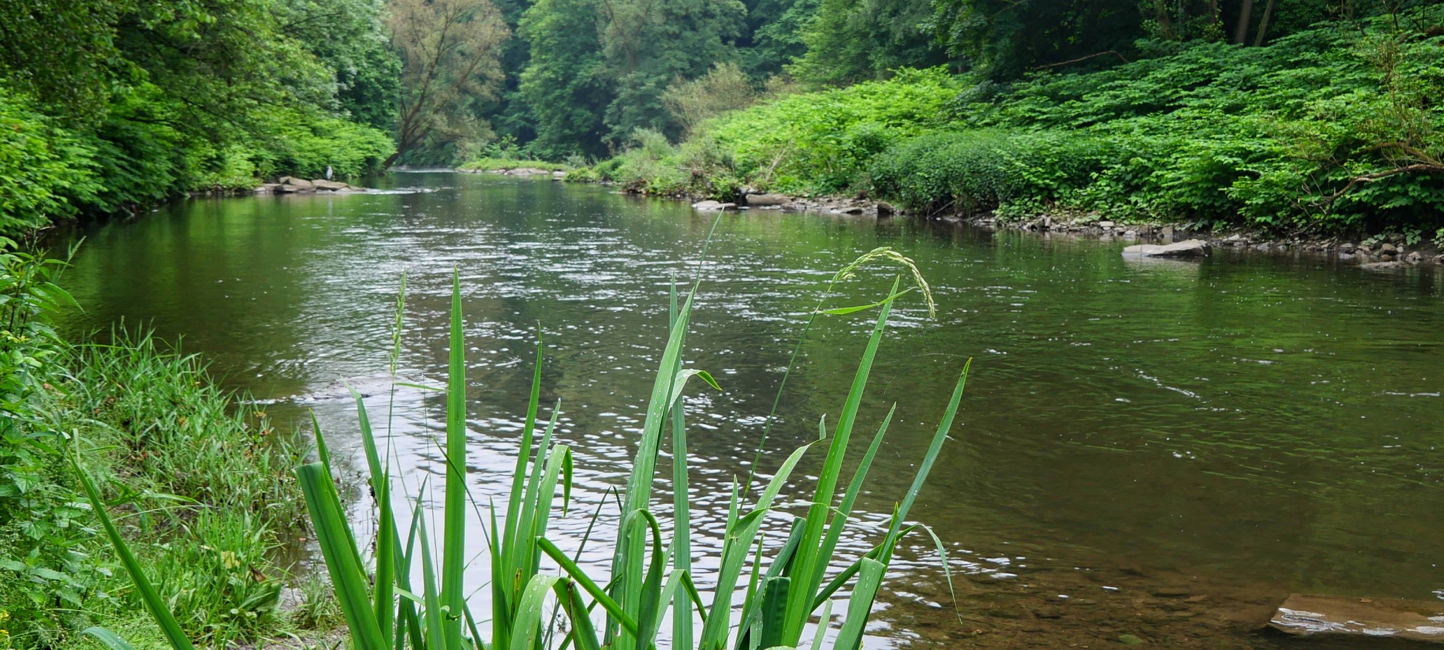 Umweltnetzwerk feiert Jubiläum