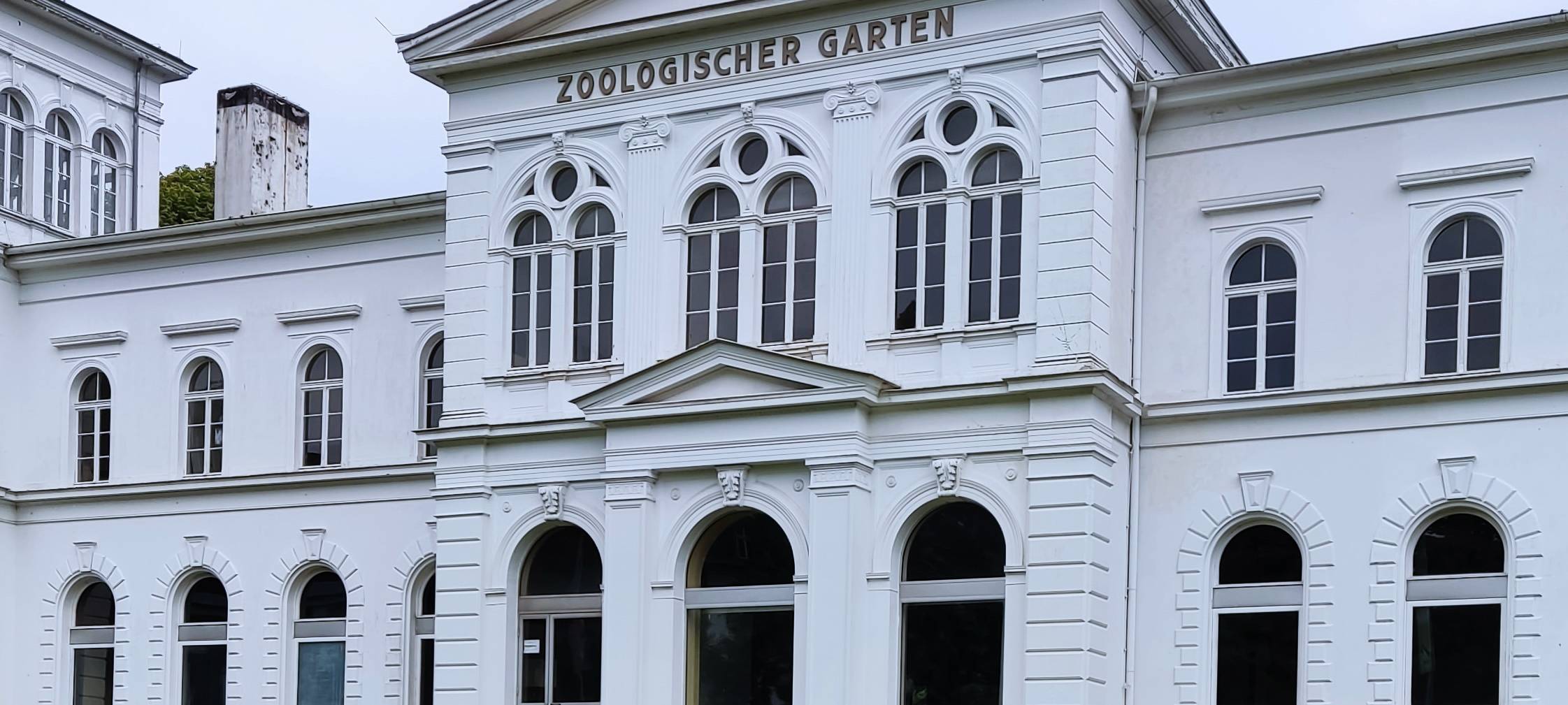 Ziesel ziehen im Zoo ein