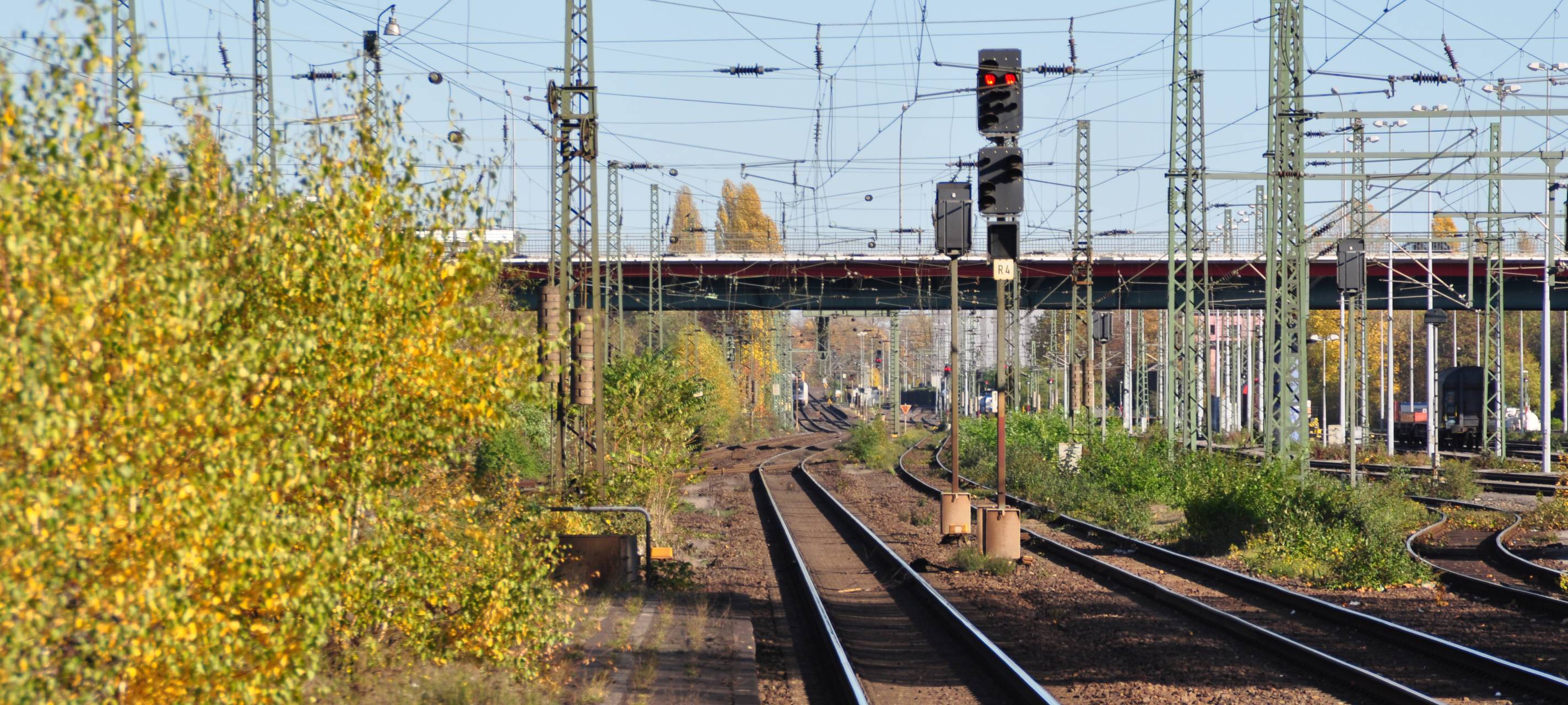Ein Jahr Deutschlandticket: So viele Menschen nutzen das Ticket
