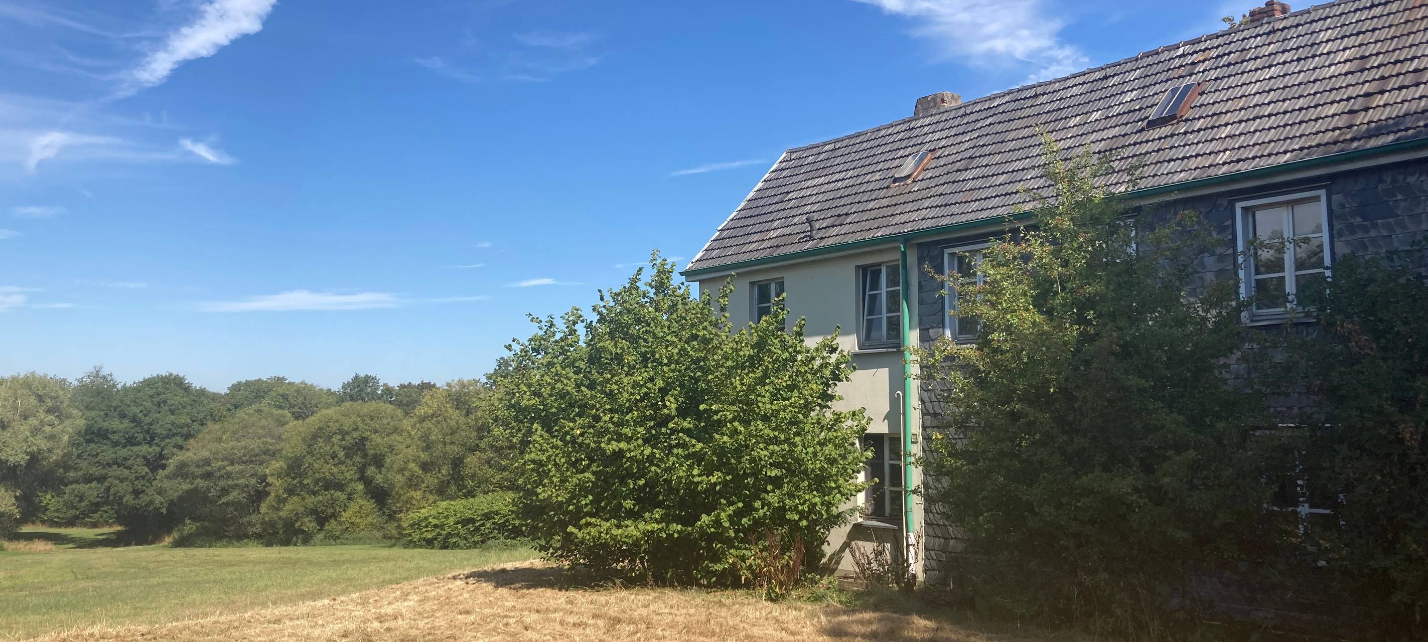 Teilerfolg für Pechpfoten vs. Diakonie