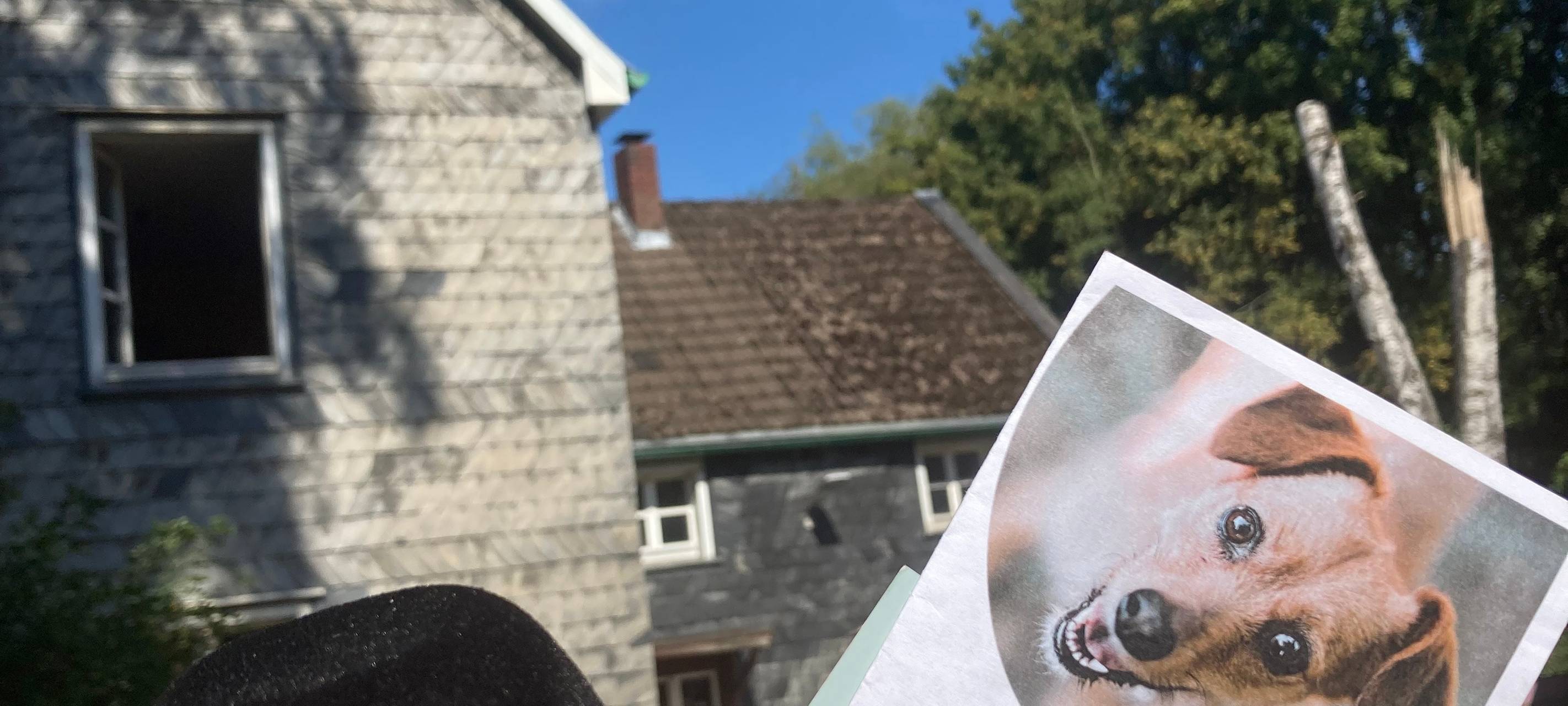 Ärger ums Tierschutzzentrum