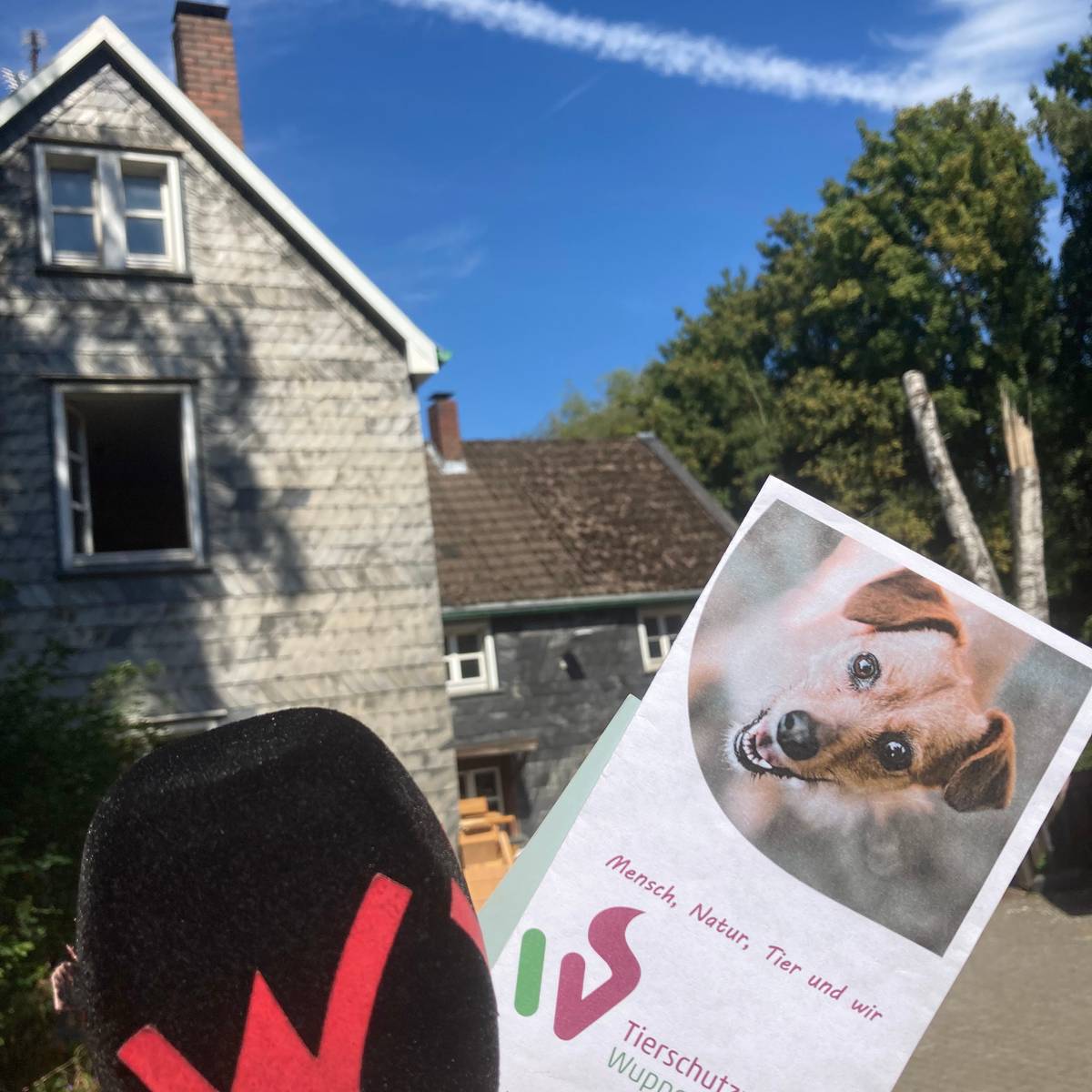 Spende für das neue Tierheim - Radio Wuppertal