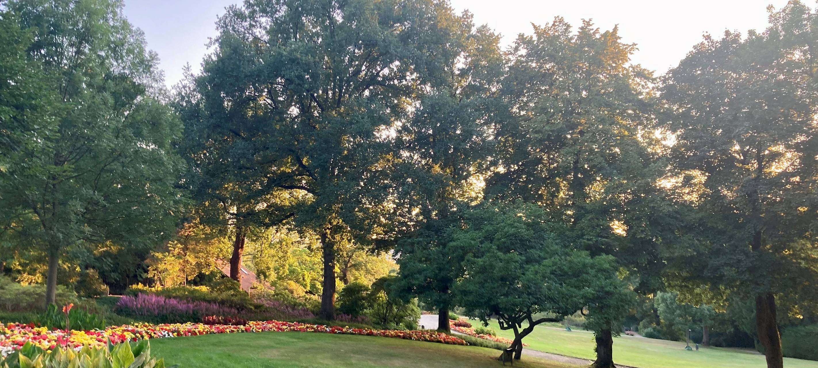 Smarte Technik hilft unseren Bäumen