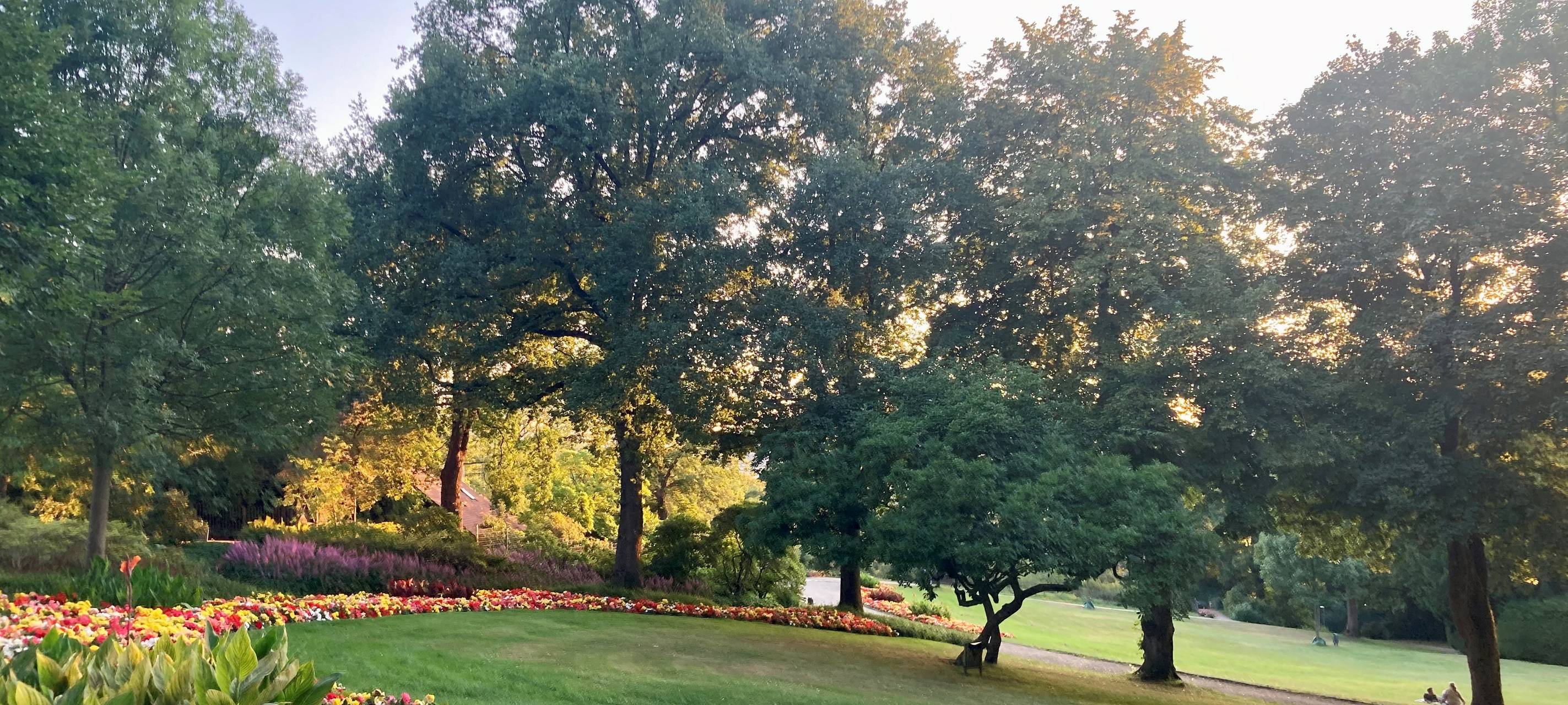 Wuppertal ist grünste Großstadt Europas