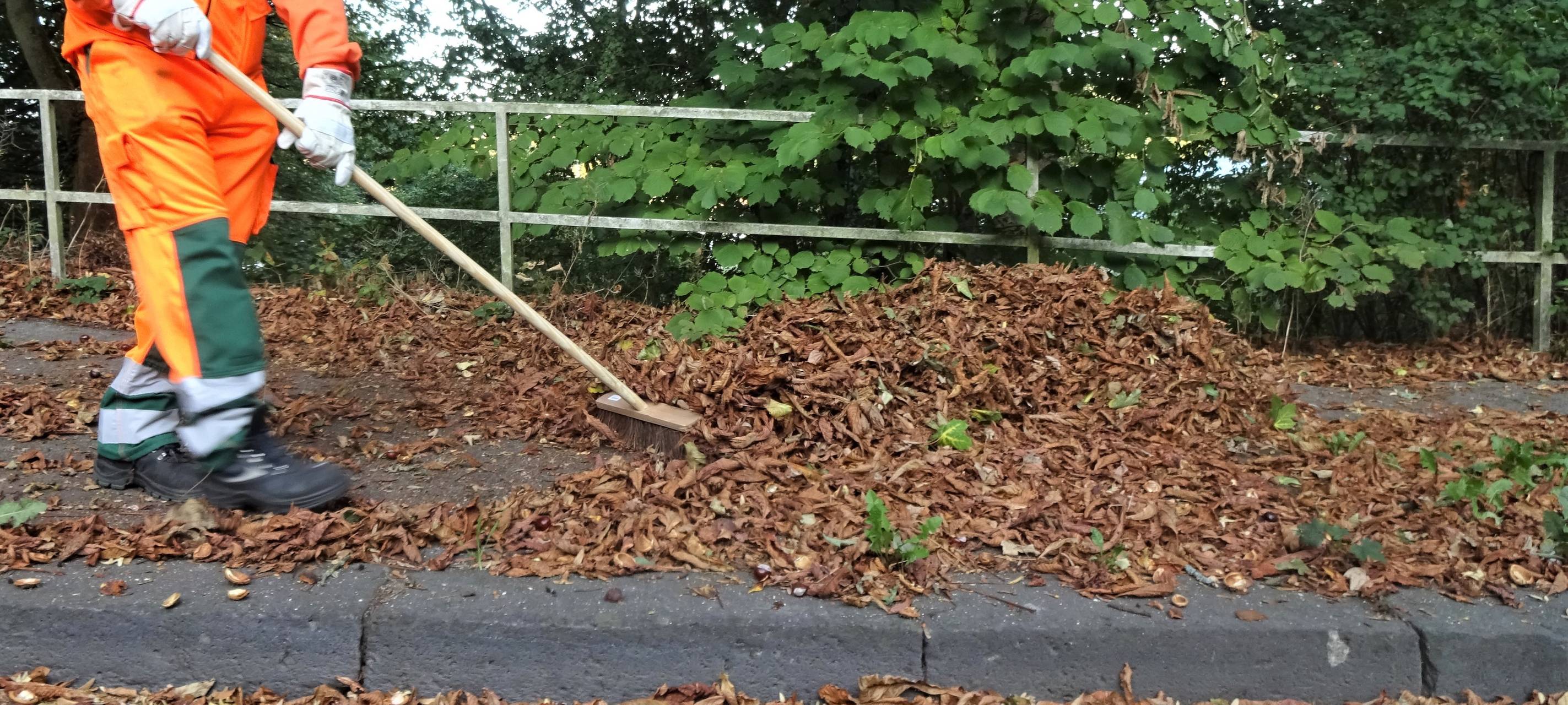 Stadt sammelt diesen Herbst 124 Tonnen Laub