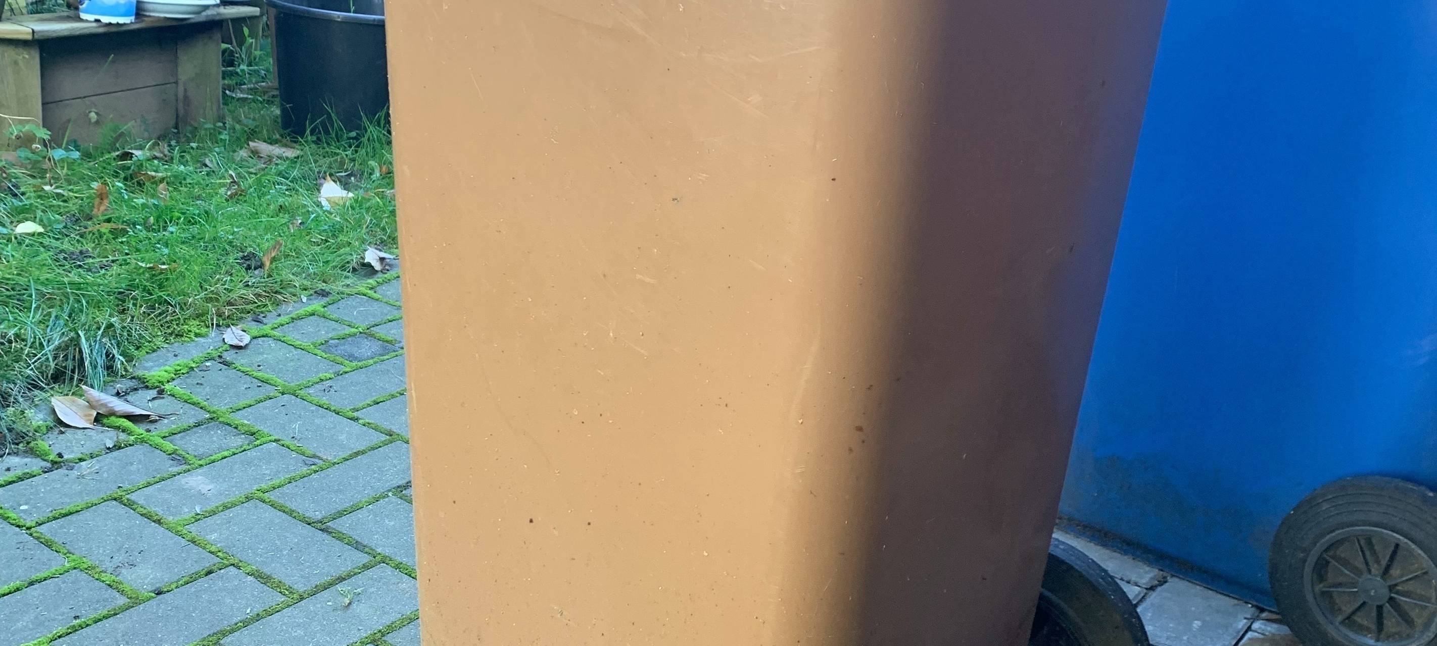 In der Biotonne friert Müll fest