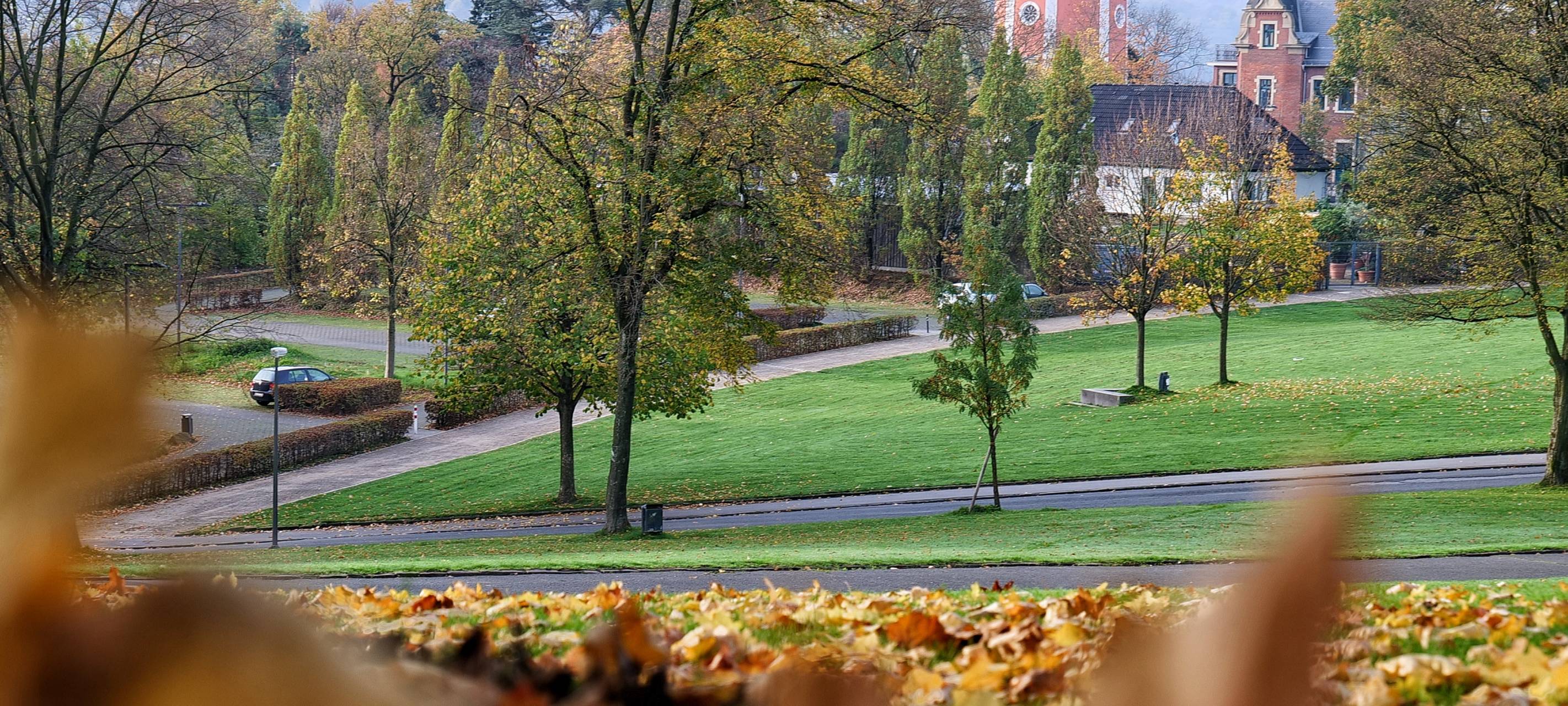 Nutzungskonzept für Freiflächen