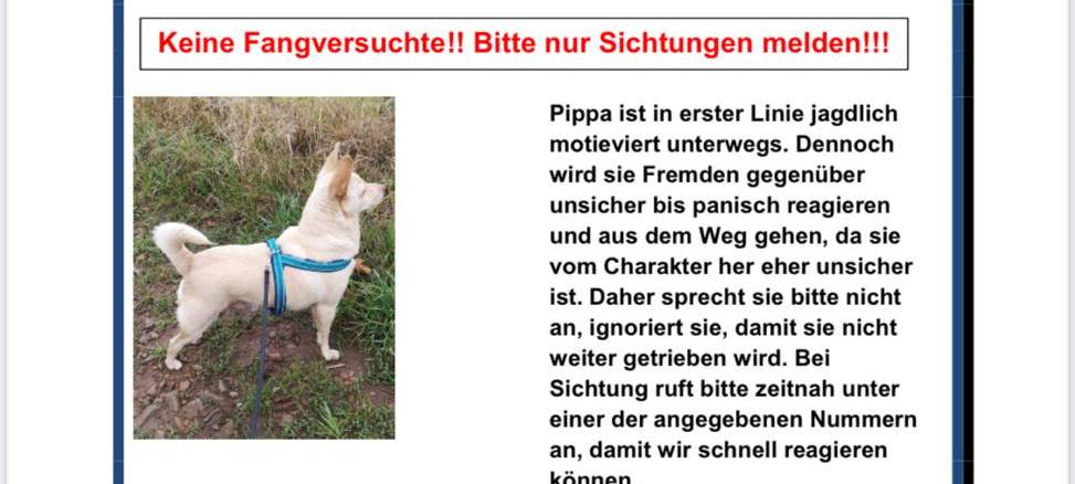 Pippa entlaufen