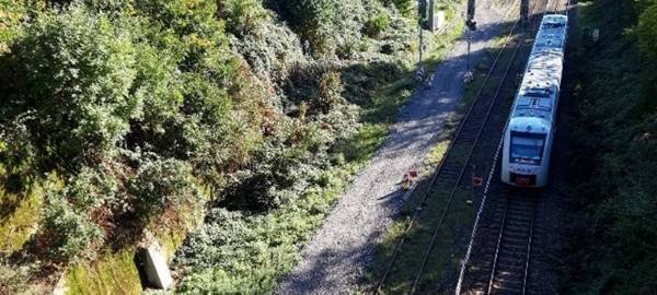 Langerfeld-Trasse: Kritik an der Stadt