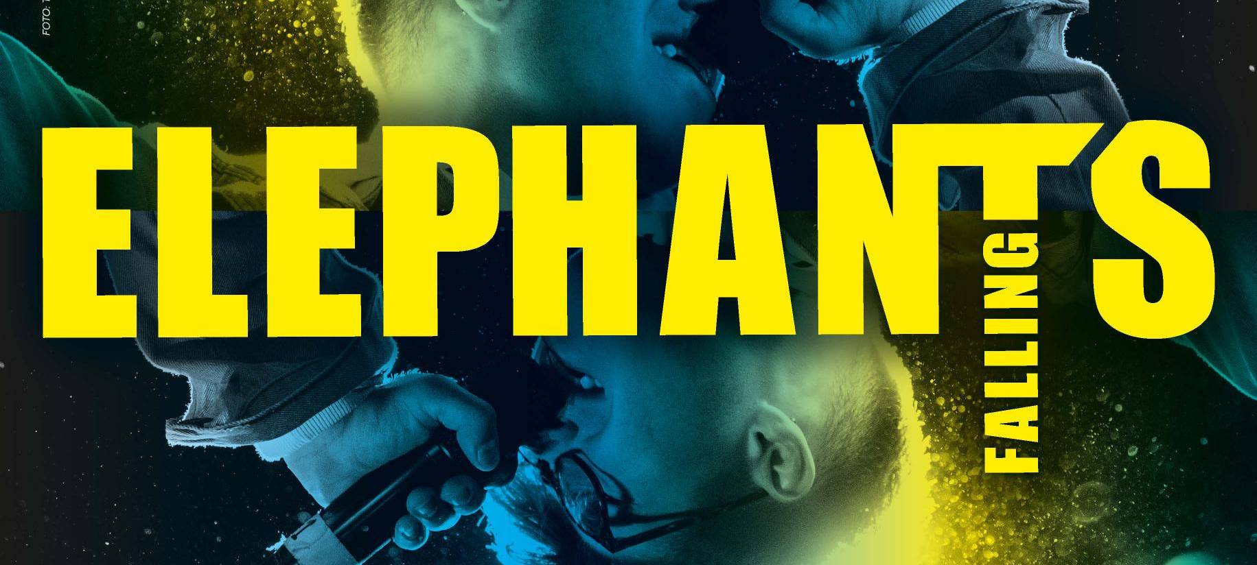 Elephant's Falling Festival: Jetzt bewerben