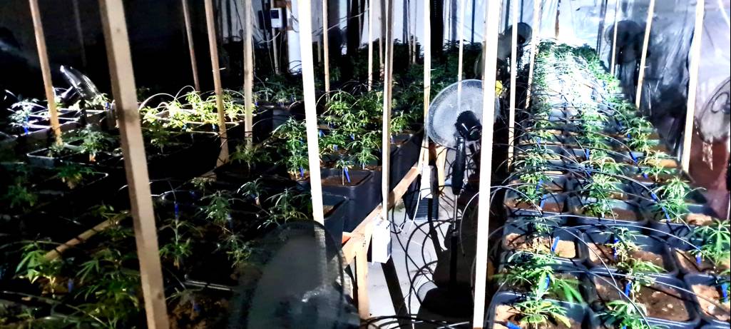 Drogenplantage in Mehrfamilienhaus