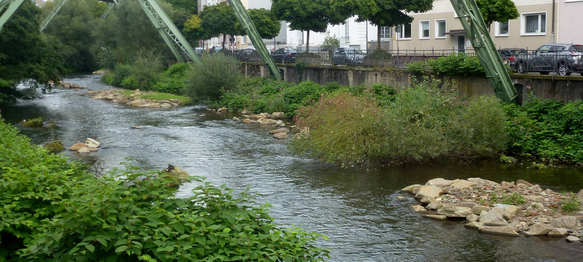 Mittelgebirgsfluss ist Gewässertyp des Jahres