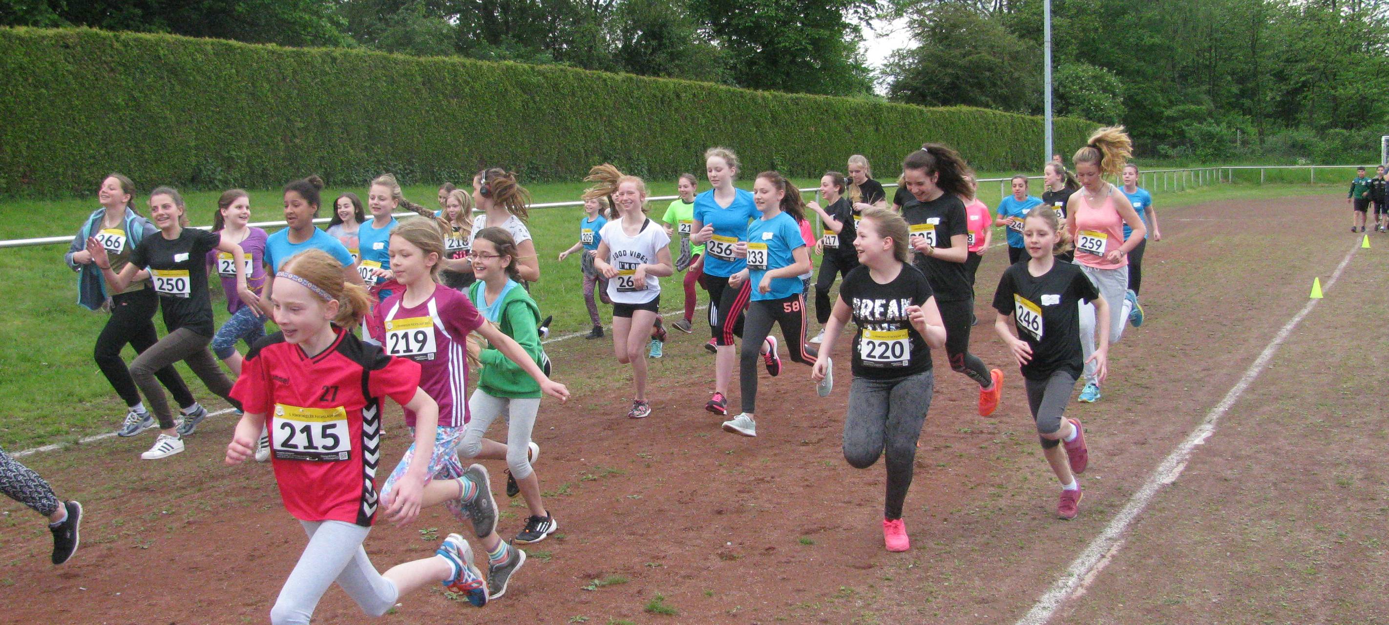 Fuchslauf startet wieder