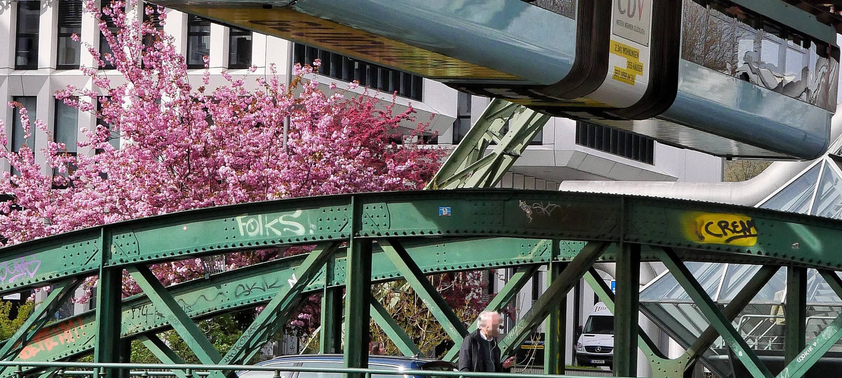Schwebebahn fährt wieder