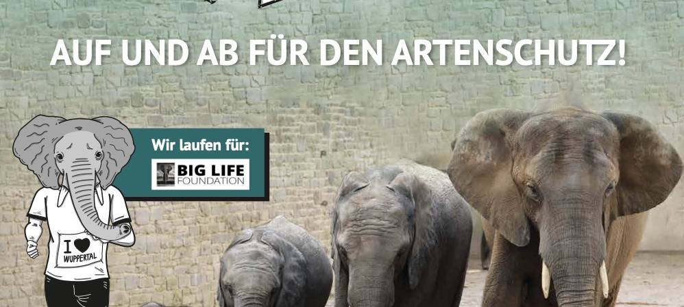 Rauf und runter im Zoo