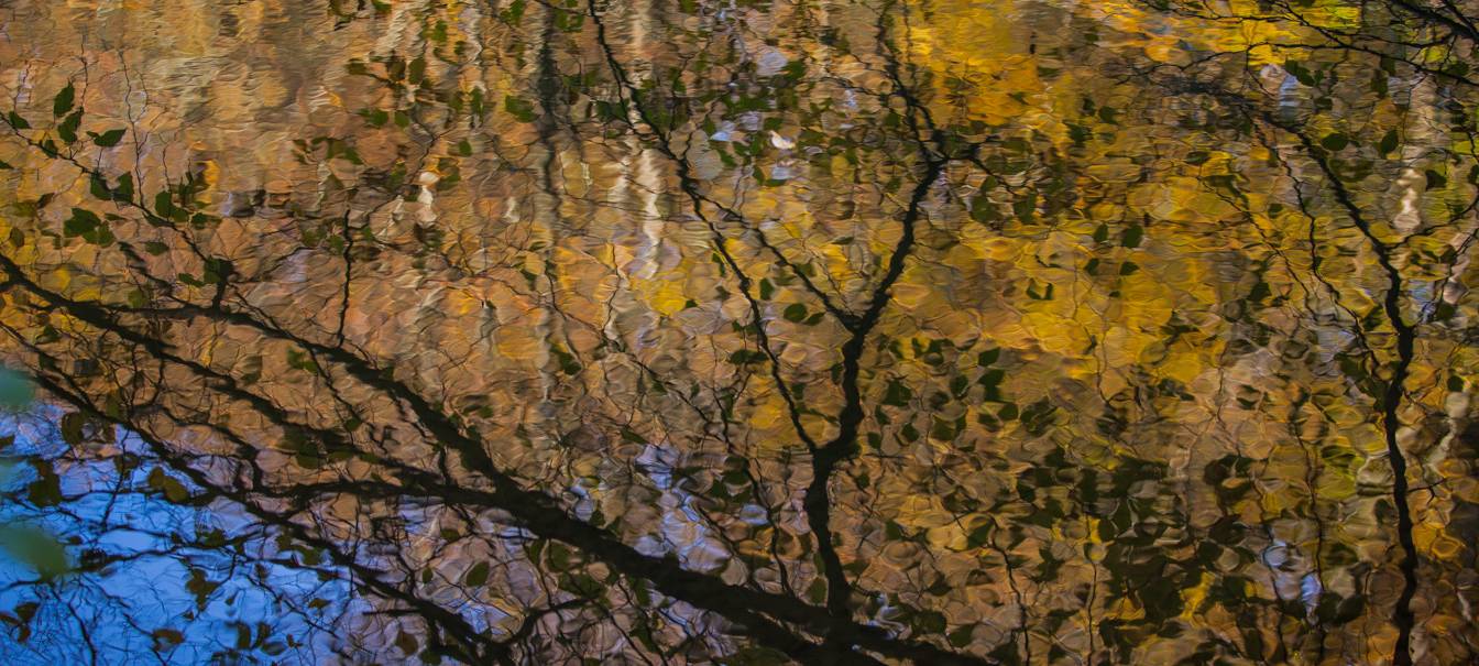 Wuppertals schönstes Wasserfoto
